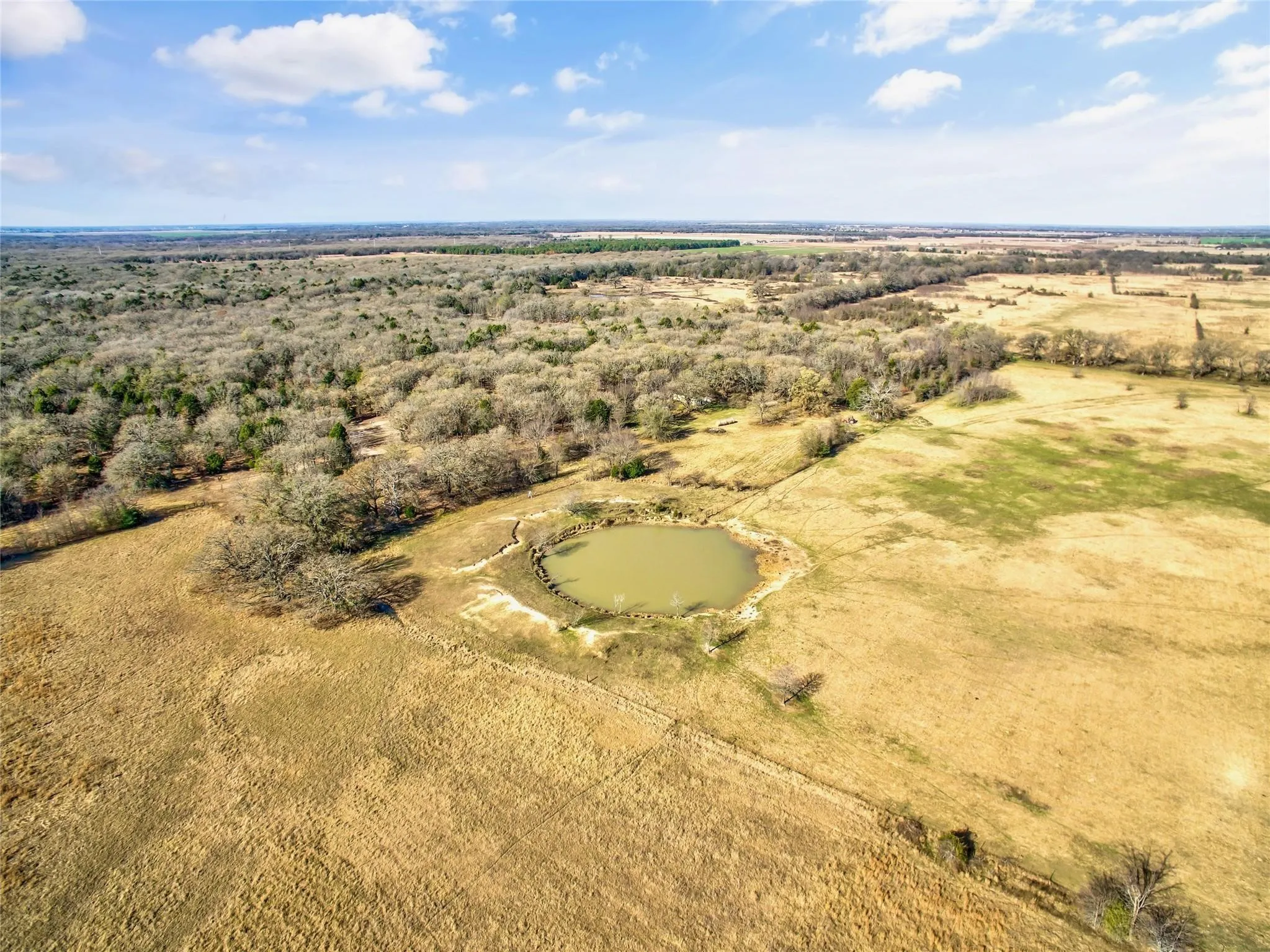 Ranch For Sale in Navarro County , 0000 SE CR 4210, Kerens, Texas 75144, 0, 0, Garage spaces, 0 Sqft, built in 0, Price $2,600,000, mls#21261129, Real Estate Agent in Kerens, Homes For Sale in Navarro county, Homes For Sale in Kerens, Realtor in Kerens Texas, Real Estate Brokerage Independent Realty Texas, Luminita Cordes Realtor
