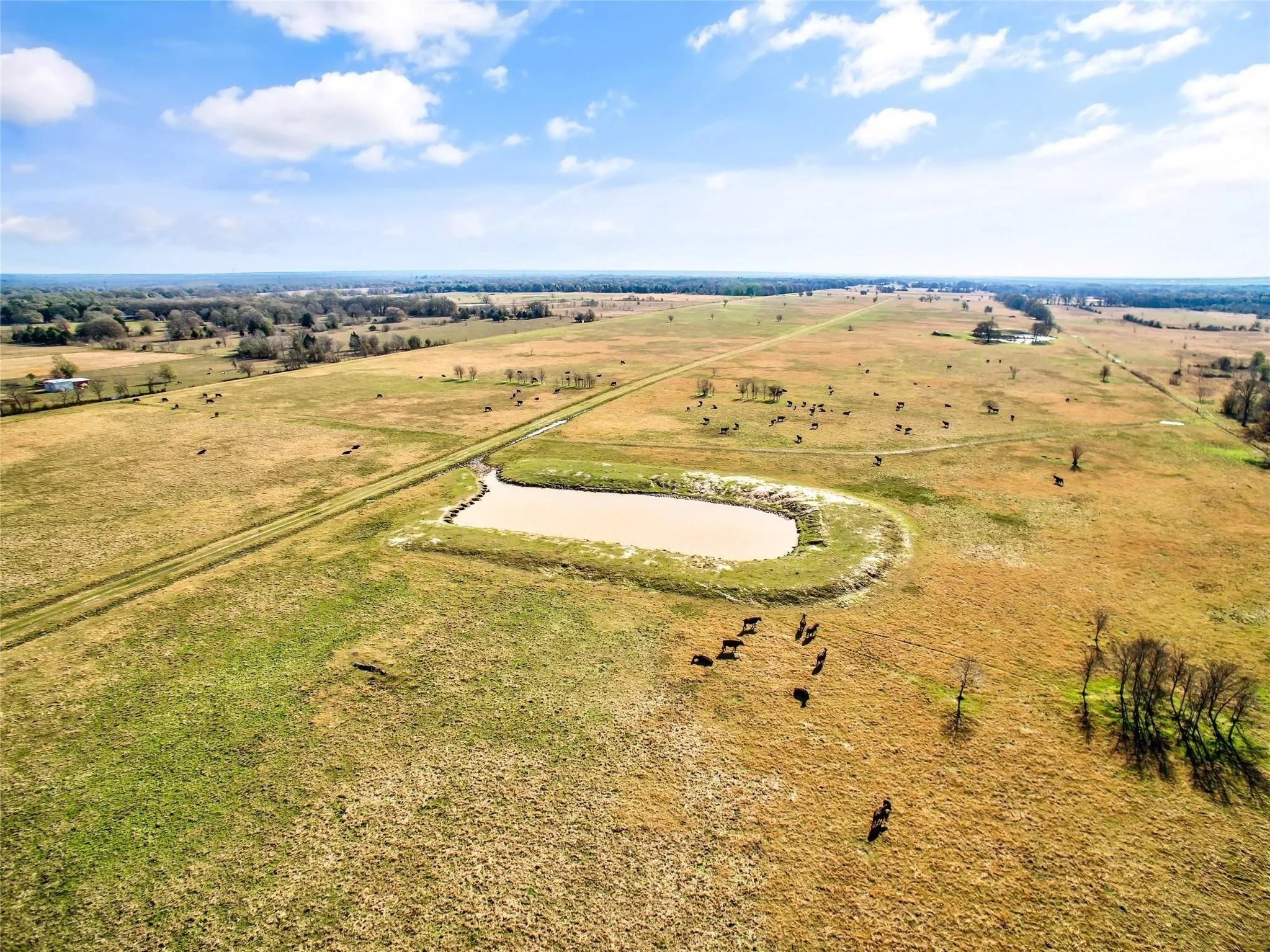 Ranch For Sale in Navarro County , 0000 SE CR 4210, Kerens, Texas 75144, 0, 0, Garage spaces, 0 Sqft, built in 0, Price $2,600,000, mls#21261129, Real Estate Agent in Kerens, Homes For Sale in Navarro county, Homes For Sale in Kerens, Realtor in Kerens Texas, Real Estate Brokerage Independent Realty Texas, Luminita Cordes Realtor