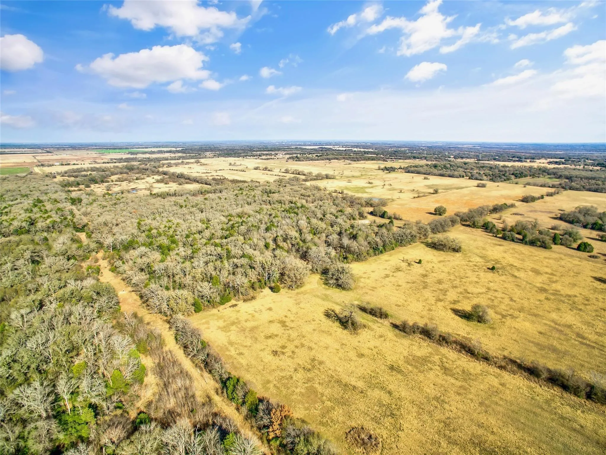 Ranch For Sale in Navarro County , 0000 SE CR 4210, Kerens, Texas 75144, 0, 0, Garage spaces, 0 Sqft, built in 0, Price $2,600,000, mls#21261129, Real Estate Agent in Kerens, Homes For Sale in Navarro county, Homes For Sale in Kerens, Realtor in Kerens Texas, Real Estate Brokerage Independent Realty Texas, Luminita Cordes Realtor
