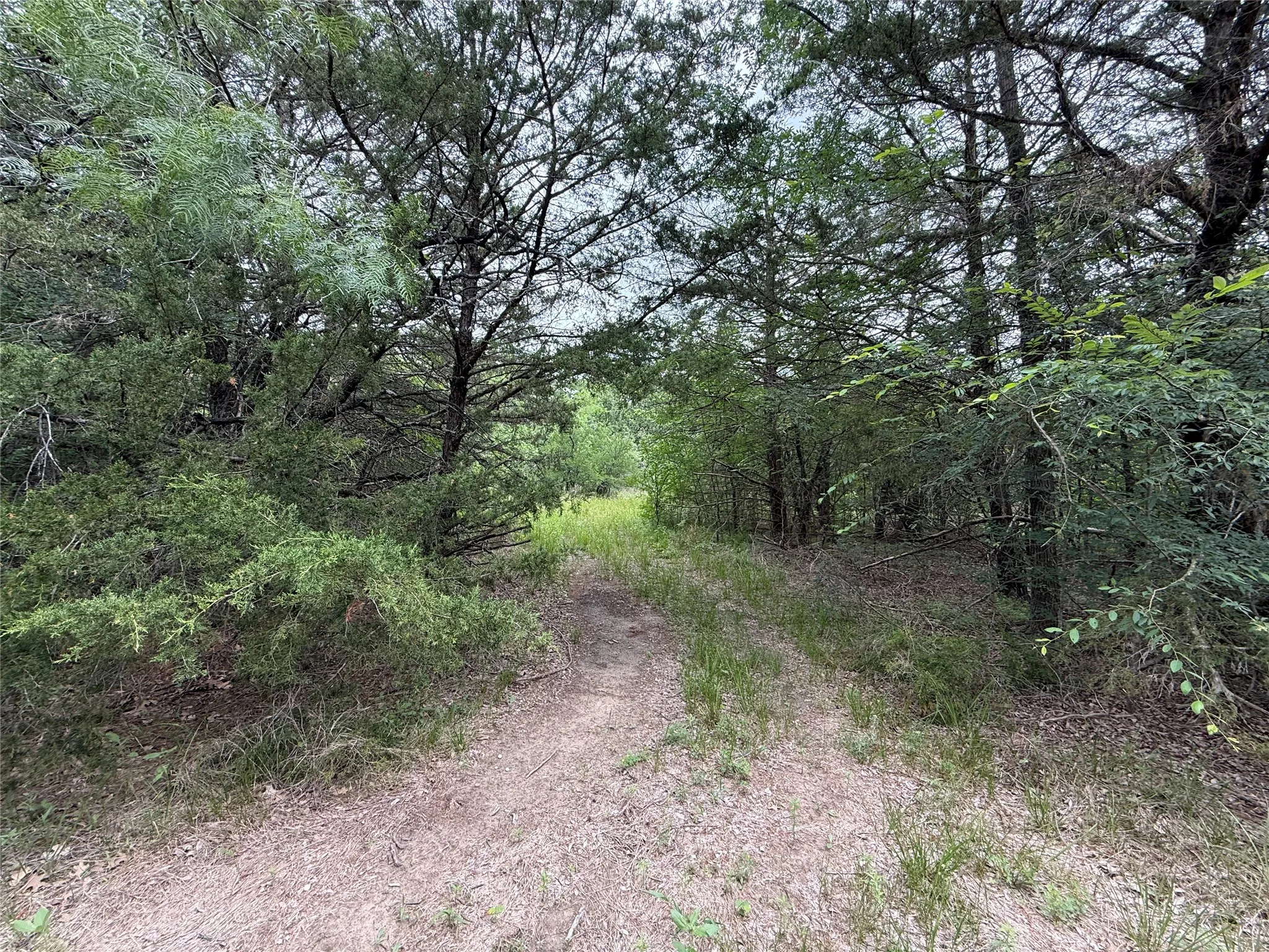 Unimproved Land For Sale in Navarro County , TBD 125 Acres FM 642, Purdon, Texas 76679, 0, 0, Garage spaces, 0 Sqft, built in 0, mls#21257290, Real Estate Agent in Purdon, Homes For Sale in Navarro county, Homes For Sale in Purdon, Realtor in Purdon Texas, Real Estate Brokerage Independent Realty Texas, Luminita Cordes Realtor