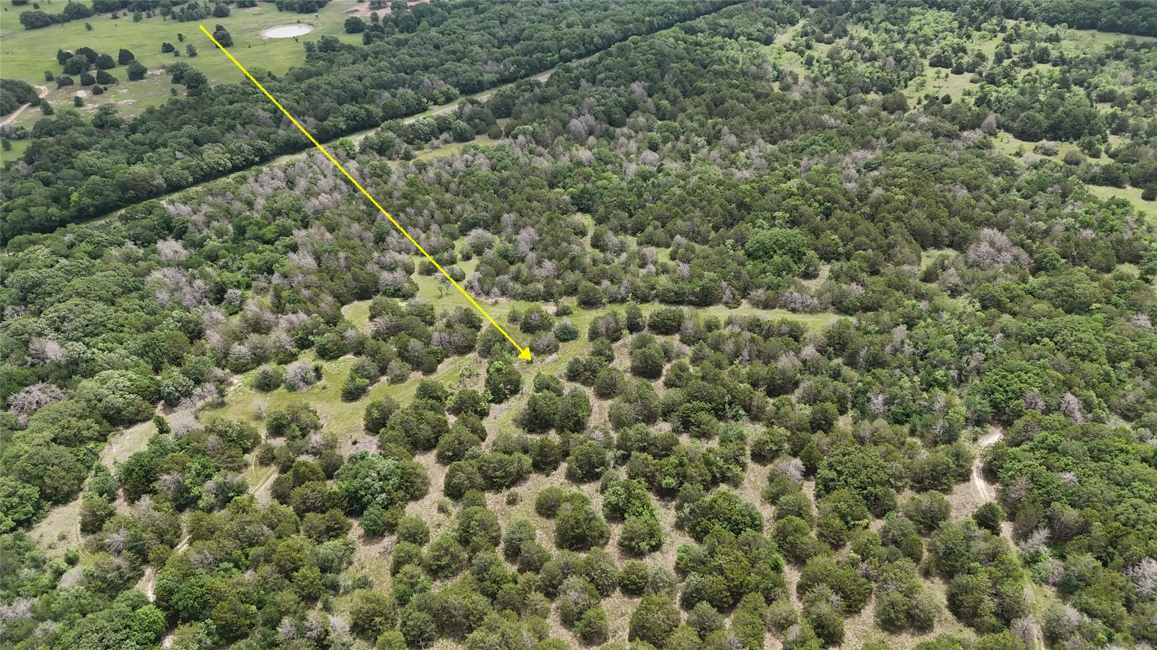 Unimproved Land For Sale in Navarro County , TBD 125 Acres FM 642, Purdon, Texas 76679, 0, 0, Garage spaces, 0 Sqft, built in 0, mls#21257290, Real Estate Agent in Purdon, Homes For Sale in Navarro county, Homes For Sale in Purdon, Realtor in Purdon Texas, Real Estate Brokerage Independent Realty Texas, Luminita Cordes Realtor