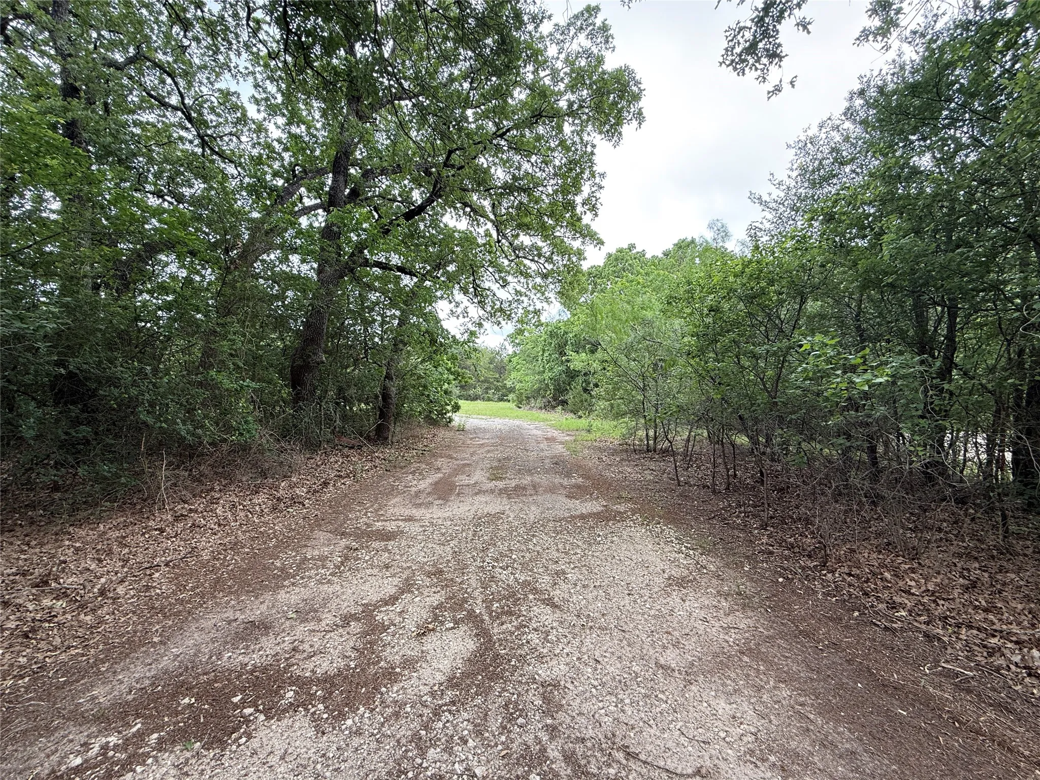 Unimproved Land For Sale in Navarro County , TBD 125 Acres FM 642, Purdon, Texas 76679, 0, 0, Garage spaces, 0 Sqft, built in 0, mls#21257290, Real Estate Agent in Purdon, Homes For Sale in Navarro county, Homes For Sale in Purdon, Realtor in Purdon Texas, Real Estate Brokerage Independent Realty Texas, Luminita Cordes Realtor