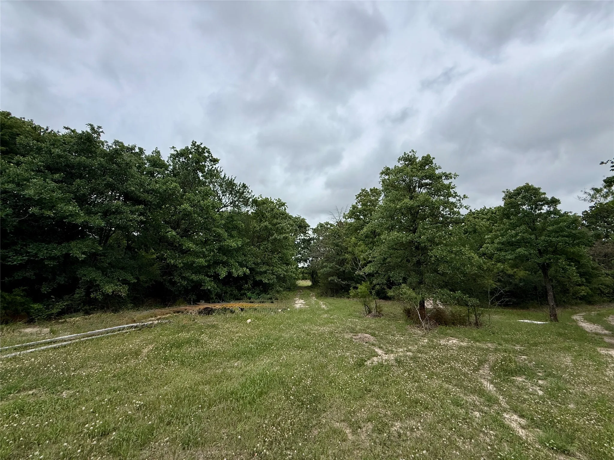 Unimproved Land For Sale in Navarro County , TBD 125 Acres FM 642, Purdon, Texas 76679, 0, 0, Garage spaces, 0 Sqft, built in 0, mls#21257290, Real Estate Agent in Purdon, Homes For Sale in Navarro county, Homes For Sale in Purdon, Realtor in Purdon Texas, Real Estate Brokerage Independent Realty Texas, Luminita Cordes Realtor