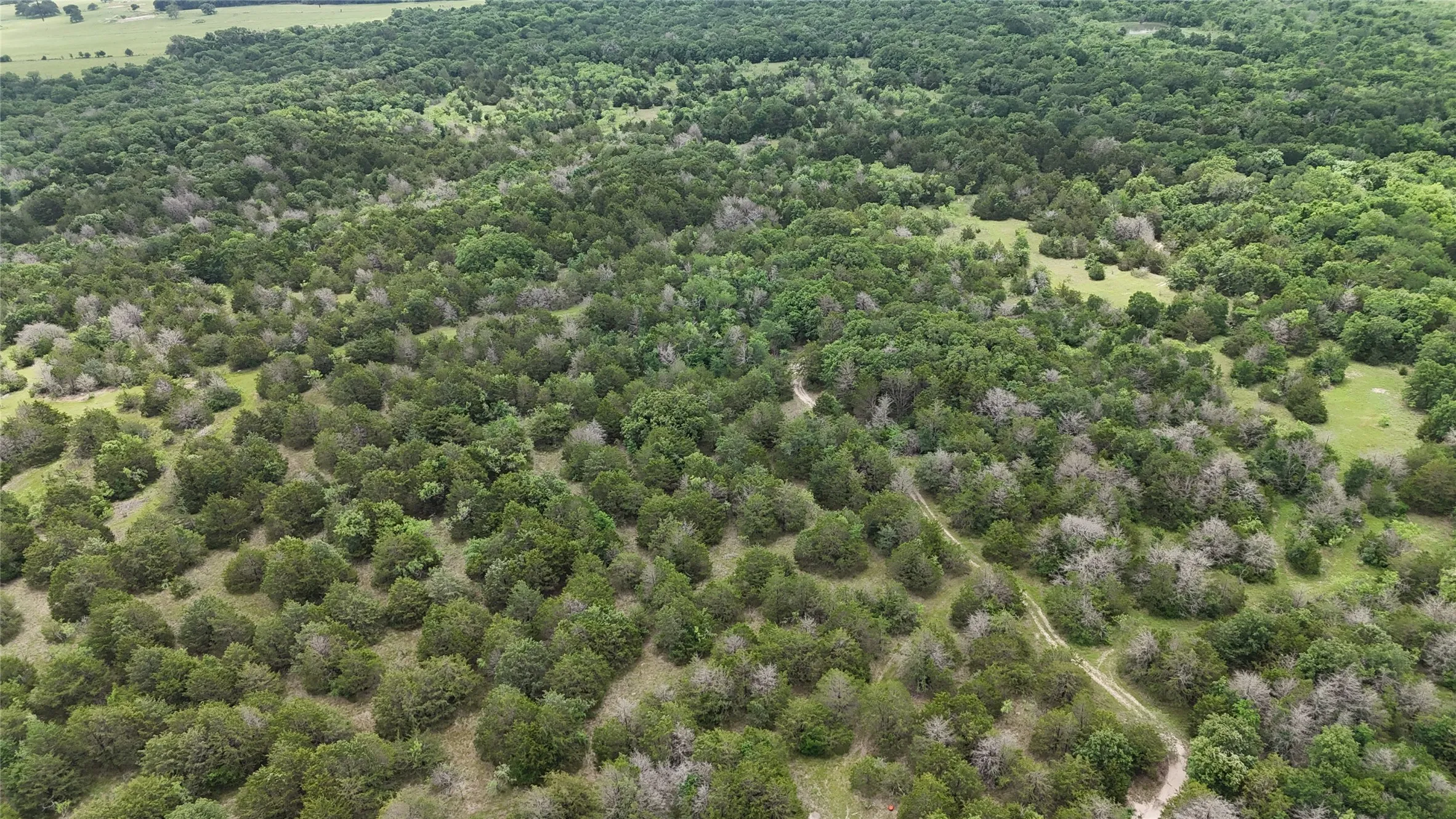 Unimproved Land For Sale in Navarro County , TBD 125 Acres FM 642, Purdon, Texas 76679, 0, 0, Garage spaces, 0 Sqft, built in 0, mls#21257290, Real Estate Agent in Purdon, Homes For Sale in Navarro county, Homes For Sale in Purdon, Realtor in Purdon Texas, Real Estate Brokerage Independent Realty Texas, Luminita Cordes Realtor