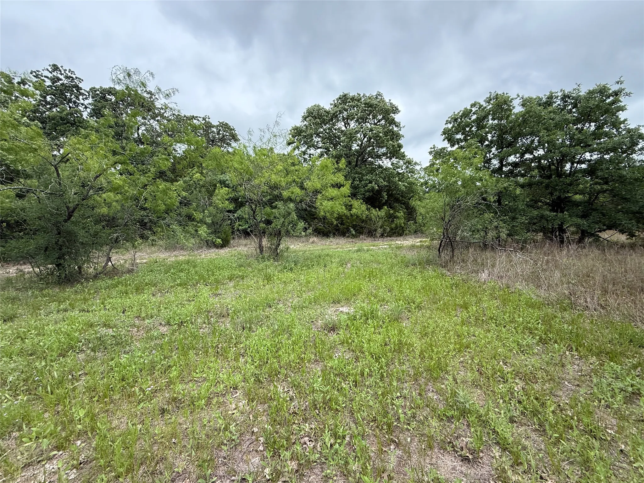 Unimproved Land For Sale in Navarro County , TBD 125 Acres FM 642, Purdon, Texas 76679, 0, 0, Garage spaces, 0 Sqft, built in 0, mls#21257290, Real Estate Agent in Purdon, Homes For Sale in Navarro county, Homes For Sale in Purdon, Realtor in Purdon Texas, Real Estate Brokerage Independent Realty Texas, Luminita Cordes Realtor