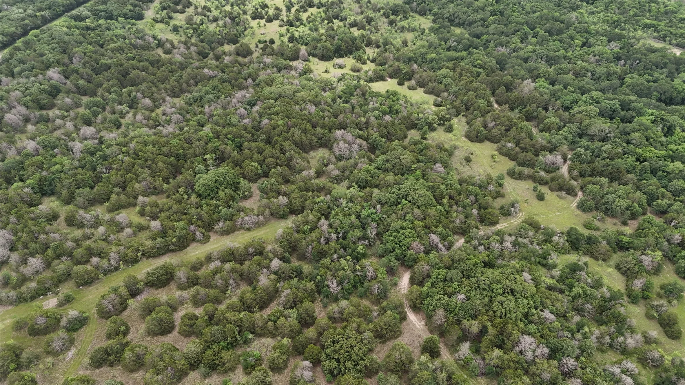 Unimproved Land For Sale in Navarro County , TBD 125 Acres FM 642, Purdon, Texas 76679, 0, 0, Garage spaces, 0 Sqft, built in 0, mls#21257290, Real Estate Agent in Purdon, Homes For Sale in Navarro county, Homes For Sale in Purdon, Realtor in Purdon Texas, Real Estate Brokerage Independent Realty Texas, Luminita Cordes Realtor