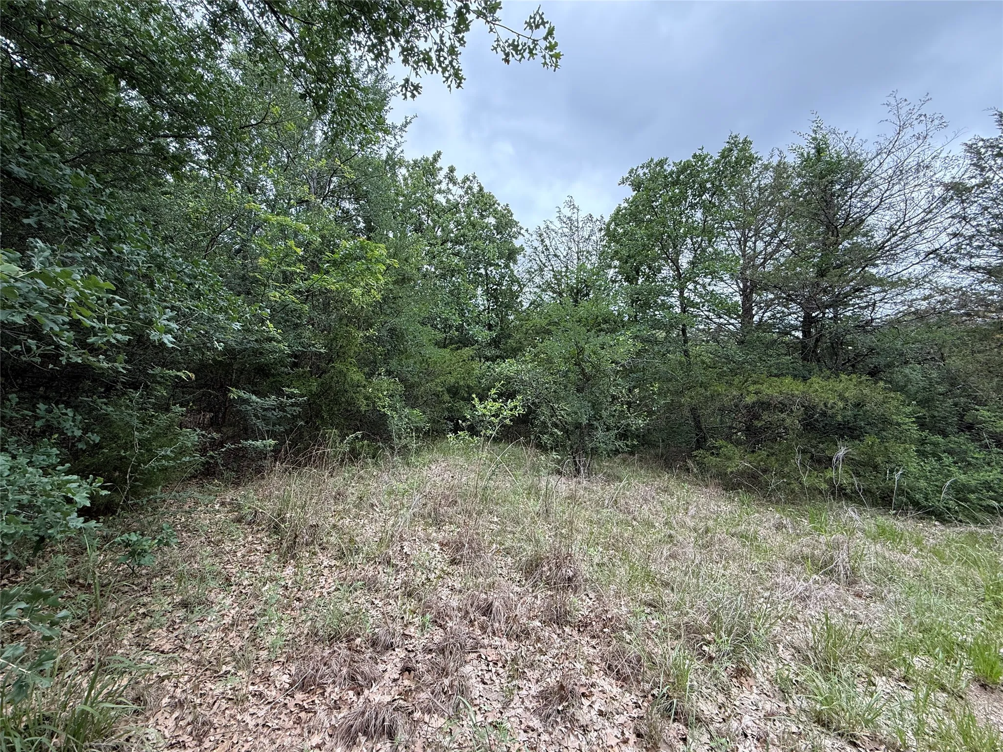 Unimproved Land For Sale in Navarro County , TBD 125 Acres FM 642, Purdon, Texas 76679, 0, 0, Garage spaces, 0 Sqft, built in 0, mls#21257290, Real Estate Agent in Purdon, Homes For Sale in Navarro county, Homes For Sale in Purdon, Realtor in Purdon Texas, Real Estate Brokerage Independent Realty Texas, Luminita Cordes Realtor