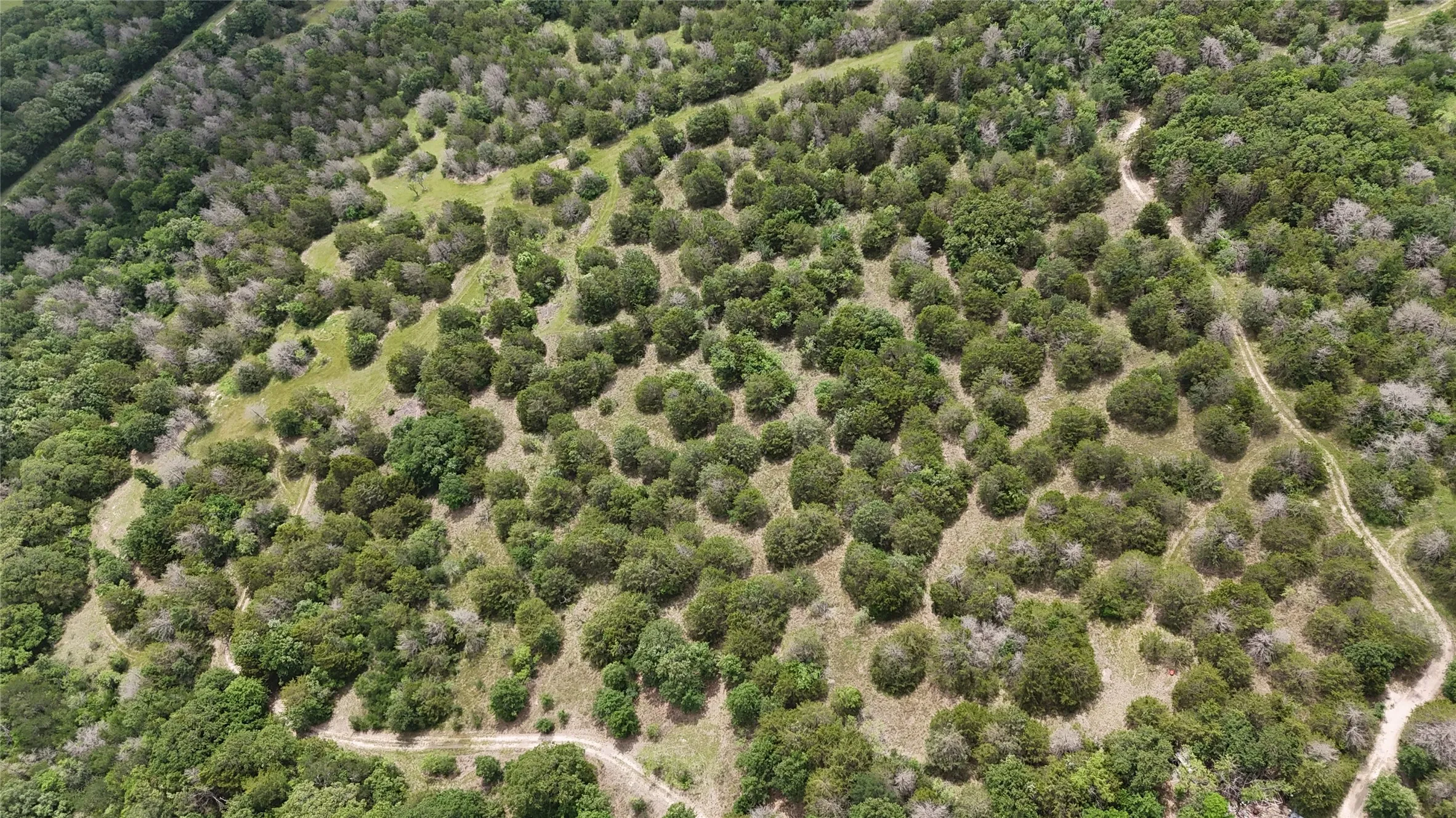 Unimproved Land For Sale in Navarro County , TBD 125 Acres FM 642, Purdon, Texas 76679, 0, 0, Garage spaces, 0 Sqft, built in 0, mls#21257290, Real Estate Agent in Purdon, Homes For Sale in Navarro county, Homes For Sale in Purdon, Realtor in Purdon Texas, Real Estate Brokerage Independent Realty Texas, Luminita Cordes Realtor