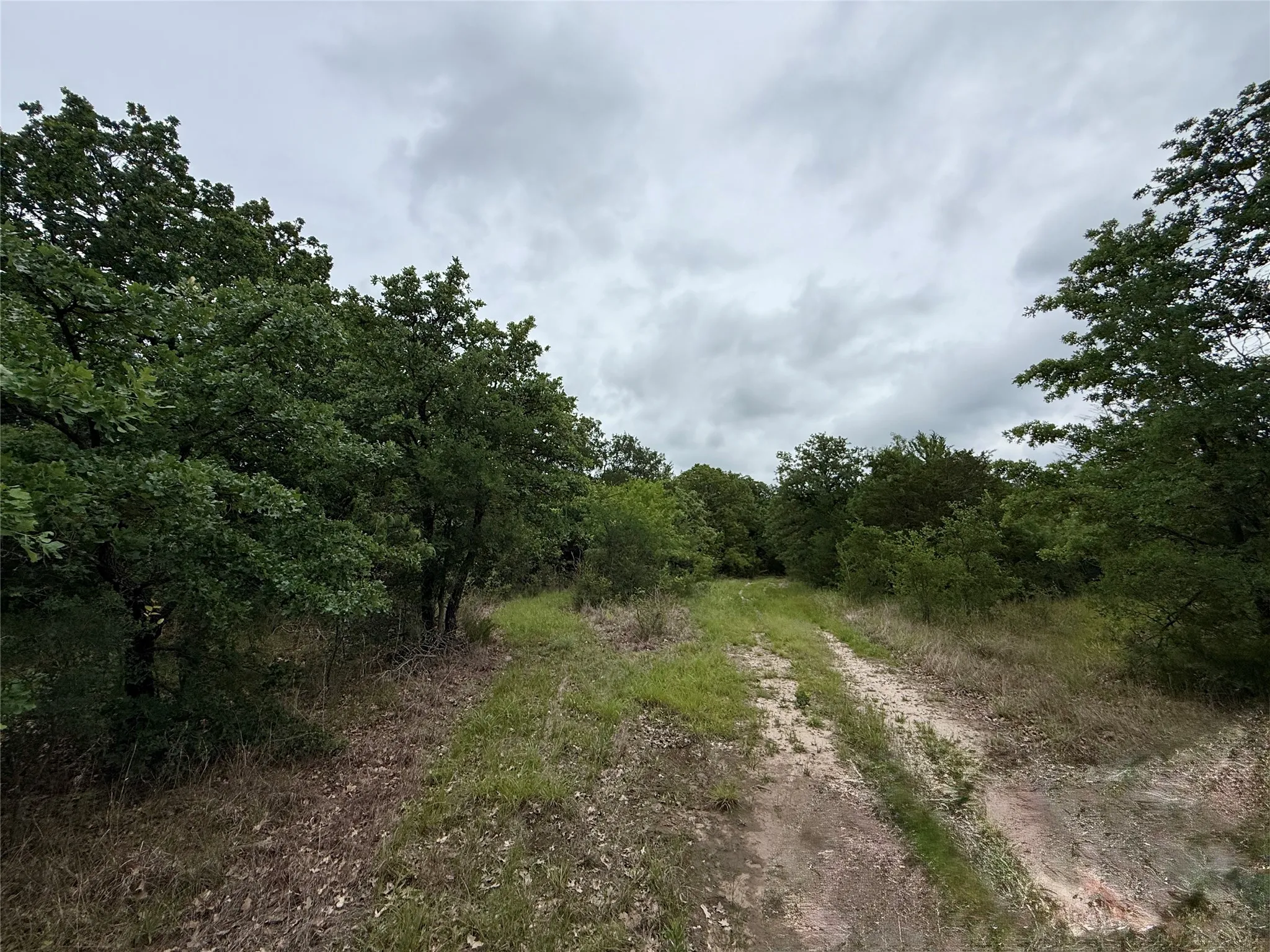 Unimproved Land For Sale in Navarro County , TBD 125 Acres FM 642, Purdon, Texas 76679, 0, 0, Garage spaces, 0 Sqft, built in 0, mls#21257290, Real Estate Agent in Purdon, Homes For Sale in Navarro county, Homes For Sale in Purdon, Realtor in Purdon Texas, Real Estate Brokerage Independent Realty Texas, Luminita Cordes Realtor