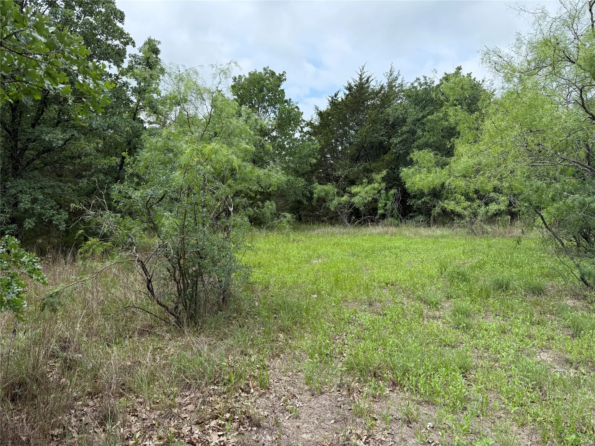 Unimproved Land For Sale in Navarro County , TBD 125 Acres FM 642, Purdon, Texas 76679, 0, 0, Garage spaces, 0 Sqft, built in 0, mls#21257290, Real Estate Agent in Purdon, Homes For Sale in Navarro county, Homes For Sale in Purdon, Realtor in Purdon Texas, Real Estate Brokerage Independent Realty Texas, Luminita Cordes Realtor