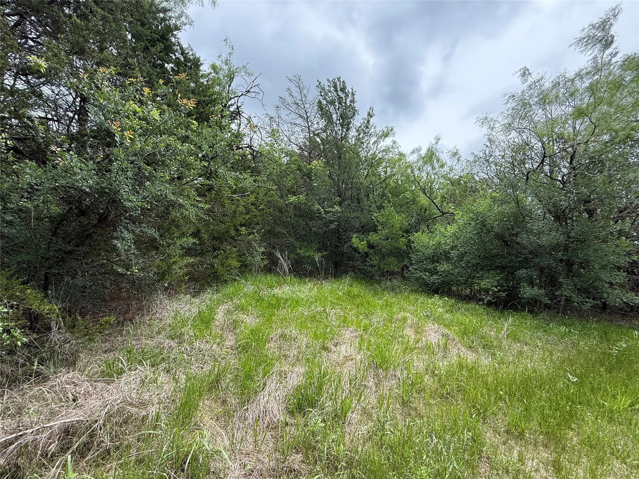 Unimproved Land For Sale in Navarro County , TBD 125 Acres FM 642, Purdon, Texas 76679, 0, 0, Garage spaces, 0 Sqft, built in 0, mls#21257290, Real Estate Agent in Purdon, Homes For Sale in Navarro county, Homes For Sale in Purdon, Realtor in Purdon Texas, Real Estate Brokerage Independent Realty Texas, Luminita Cordes Realtor