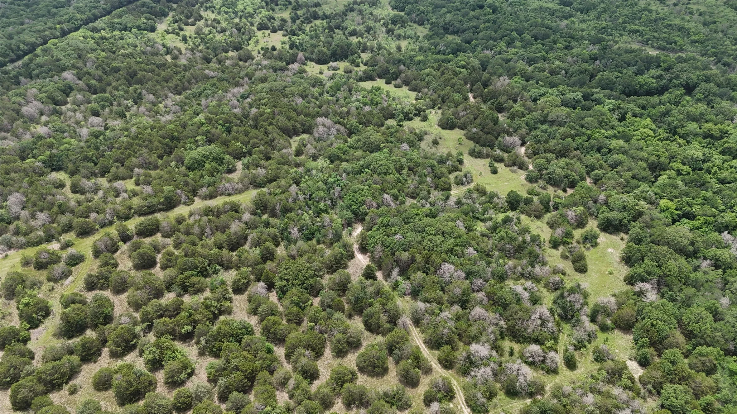 Unimproved Land For Sale in Navarro County , TBD 125 Acres FM 642, Purdon, Texas 76679, 0, 0, Garage spaces, 0 Sqft, built in 0, mls#21257290, Real Estate Agent in Purdon, Homes For Sale in Navarro county, Homes For Sale in Purdon, Realtor in Purdon Texas, Real Estate Brokerage Independent Realty Texas, Luminita Cordes Realtor