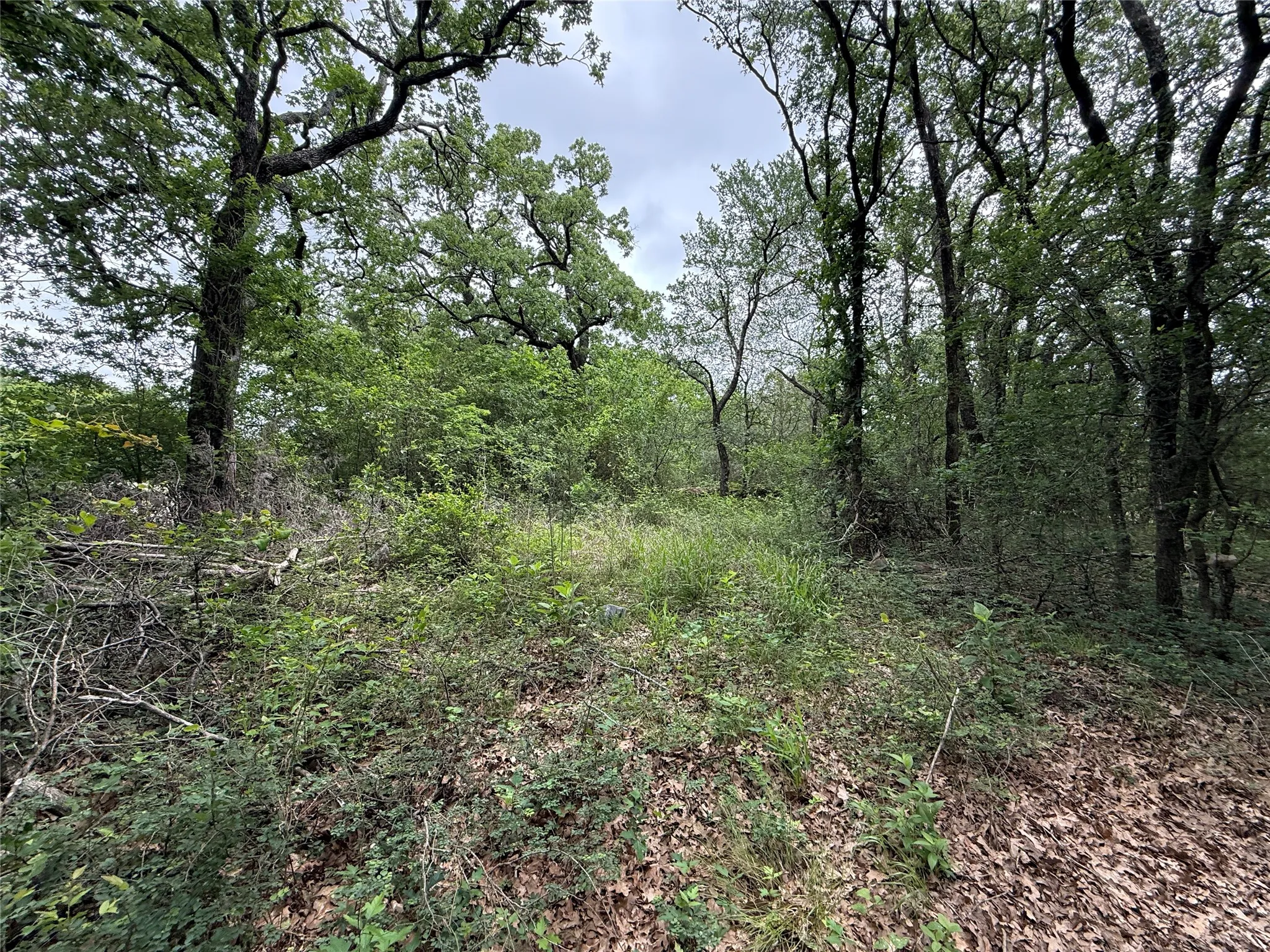 Unimproved Land For Sale in Navarro County , TBD 125 Acres FM 642, Purdon, Texas 76679, 0, 0, Garage spaces, 0 Sqft, built in 0, mls#21257290, Real Estate Agent in Purdon, Homes For Sale in Navarro county, Homes For Sale in Purdon, Realtor in Purdon Texas, Real Estate Brokerage Independent Realty Texas, Luminita Cordes Realtor