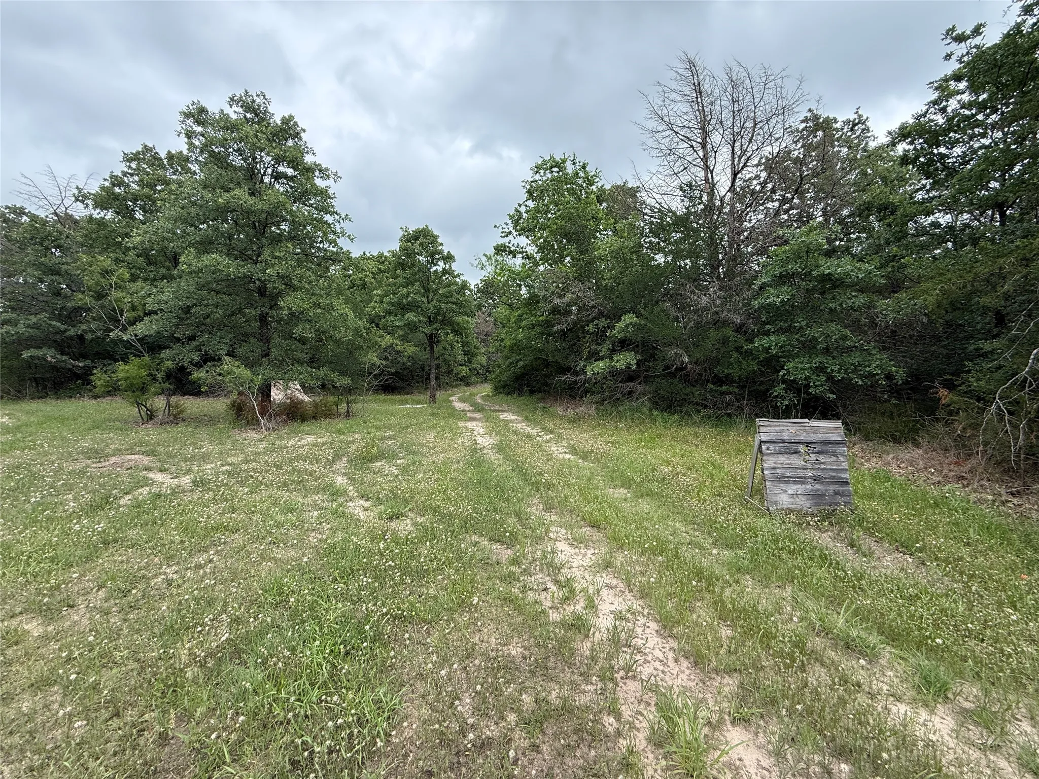 Unimproved Land For Sale in Navarro County , TBD 125 Acres FM 642, Purdon, Texas 76679, 0, 0, Garage spaces, 0 Sqft, built in 0, mls#21257290, Real Estate Agent in Purdon, Homes For Sale in Navarro county, Homes For Sale in Purdon, Realtor in Purdon Texas, Real Estate Brokerage Independent Realty Texas, Luminita Cordes Realtor