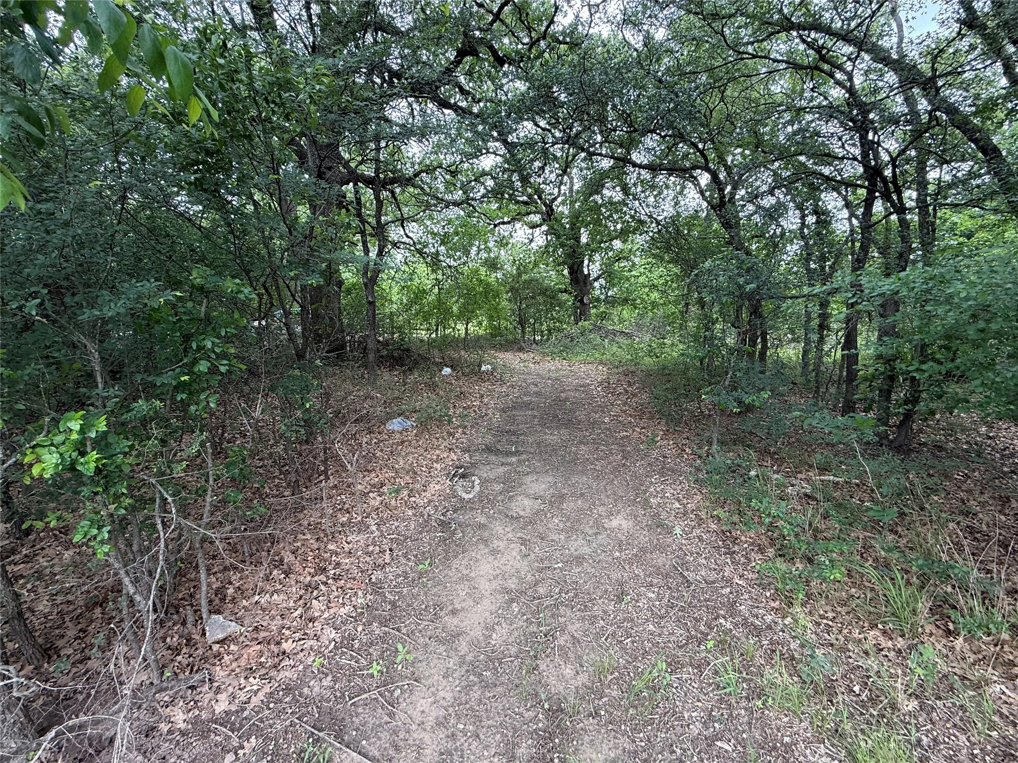 Unimproved Land For Sale in Navarro County , TBD 125 Acres FM 642, Purdon, Texas 76679, 0, 0, Garage spaces, 0 Sqft, built in 0, mls#21257290, Real Estate Agent in Purdon, Homes For Sale in Navarro county, Homes For Sale in Purdon, Realtor in Purdon Texas, Real Estate Brokerage Independent Realty Texas, Luminita Cordes Realtor