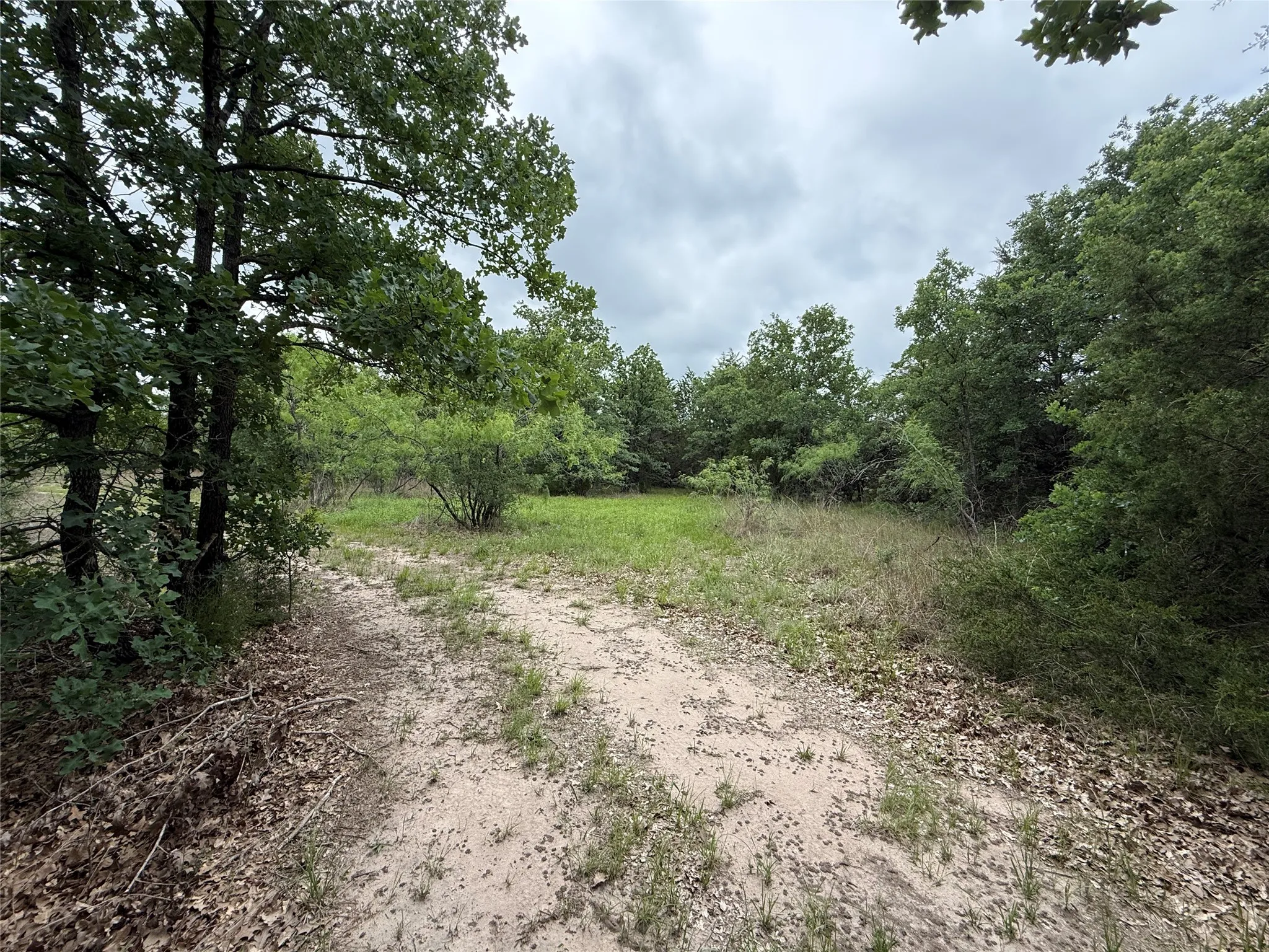 Unimproved Land For Sale in Navarro County , TBD 125 Acres FM 642, Purdon, Texas 76679, 0, 0, Garage spaces, 0 Sqft, built in 0, mls#21257290, Real Estate Agent in Purdon, Homes For Sale in Navarro county, Homes For Sale in Purdon, Realtor in Purdon Texas, Real Estate Brokerage Independent Realty Texas, Luminita Cordes Realtor