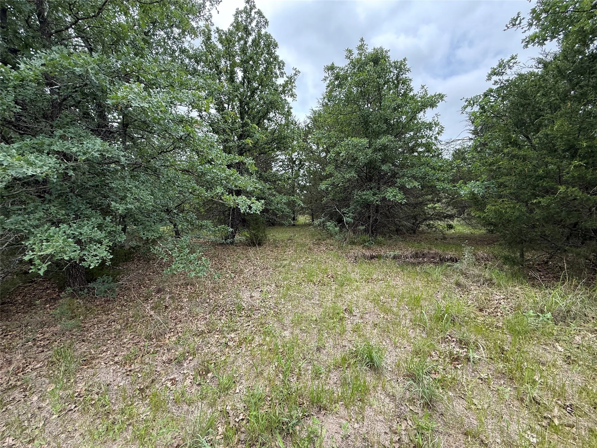 Unimproved Land For Sale in Navarro County , TBD 125 Acres FM 642, Purdon, Texas 76679, 0, 0, Garage spaces, 0 Sqft, built in 0, mls#21257290, Real Estate Agent in Purdon, Homes For Sale in Navarro county, Homes For Sale in Purdon, Realtor in Purdon Texas, Real Estate Brokerage Independent Realty Texas, Luminita Cordes Realtor
