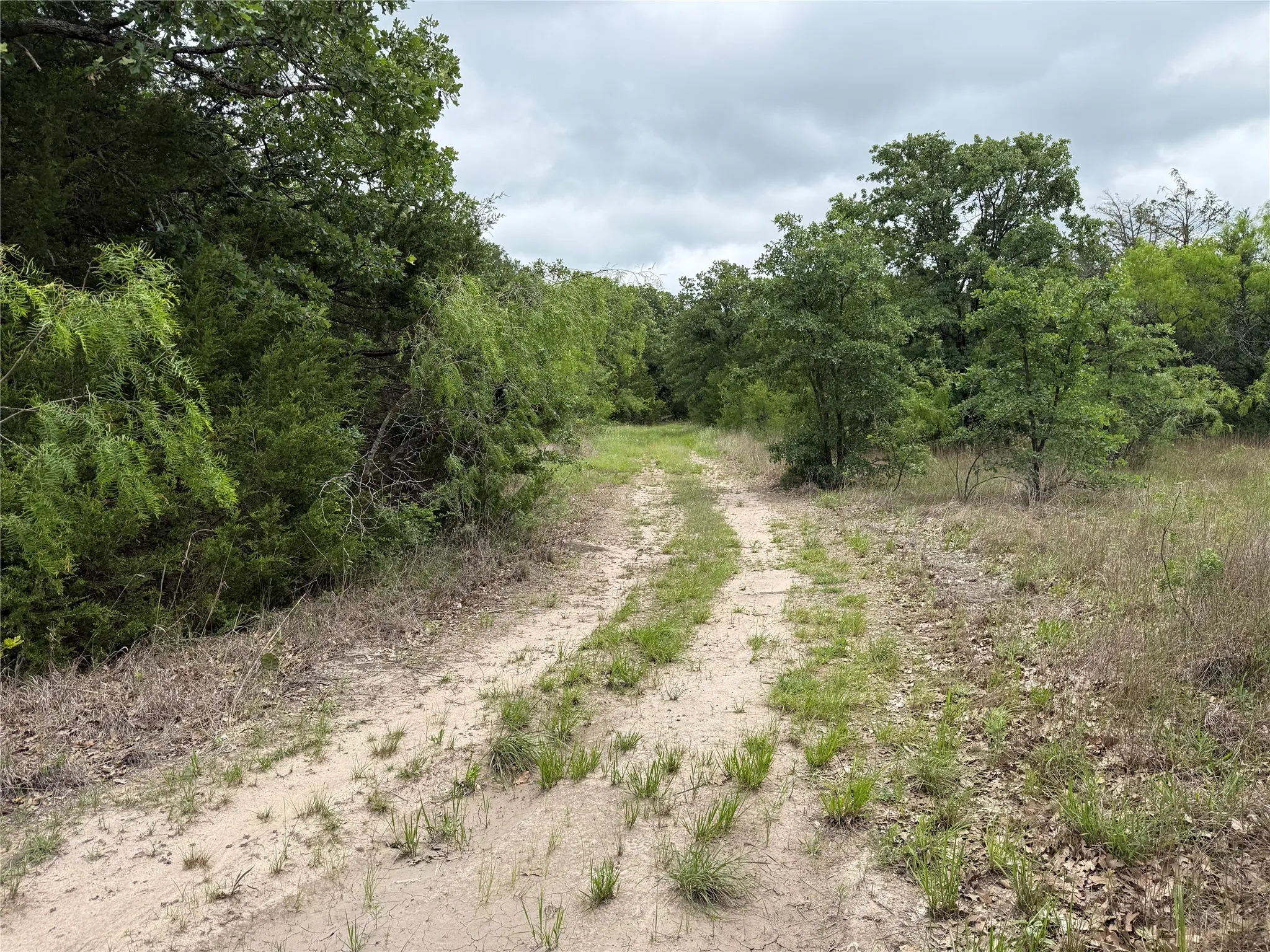 Unimproved Land For Sale in Navarro County , TBD 125 Acres FM 642, Purdon, Texas 76679, 0, 0, Garage spaces, 0 Sqft, built in 0, mls#21257290, Real Estate Agent in Purdon, Homes For Sale in Navarro county, Homes For Sale in Purdon, Realtor in Purdon Texas, Real Estate Brokerage Independent Realty Texas, Luminita Cordes Realtor