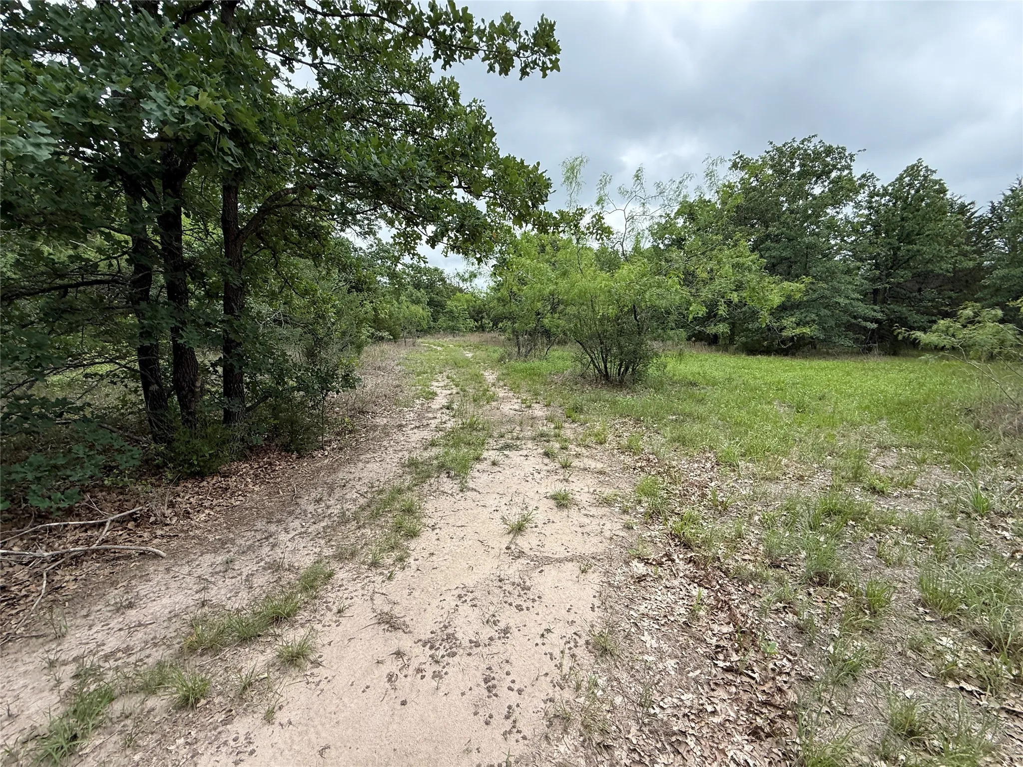 Unimproved Land For Sale in Navarro County , TBD 125 Acres FM 642, Purdon, Texas 76679, 0, 0, Garage spaces, 0 Sqft, built in 0, mls#21257290, Real Estate Agent in Purdon, Homes For Sale in Navarro county, Homes For Sale in Purdon, Realtor in Purdon Texas, Real Estate Brokerage Independent Realty Texas, Luminita Cordes Realtor