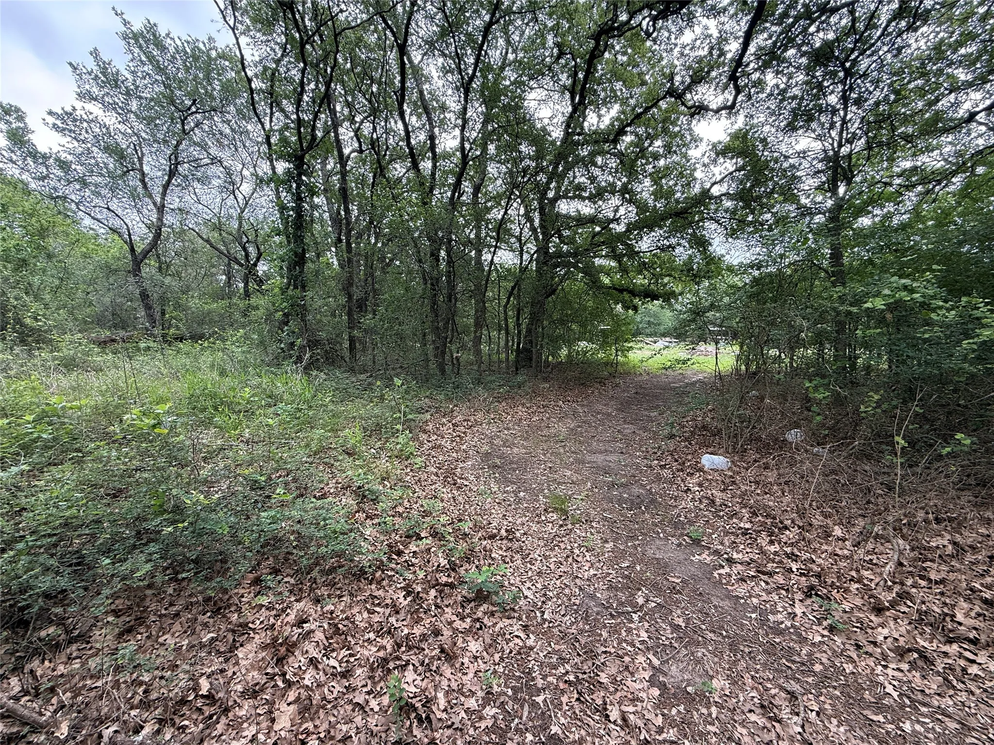Unimproved Land For Sale in Navarro County , TBD 125 Acres FM 642, Purdon, Texas 76679, 0, 0, Garage spaces, 0 Sqft, built in 0, mls#21257290, Real Estate Agent in Purdon, Homes For Sale in Navarro county, Homes For Sale in Purdon, Realtor in Purdon Texas, Real Estate Brokerage Independent Realty Texas, Luminita Cordes Realtor