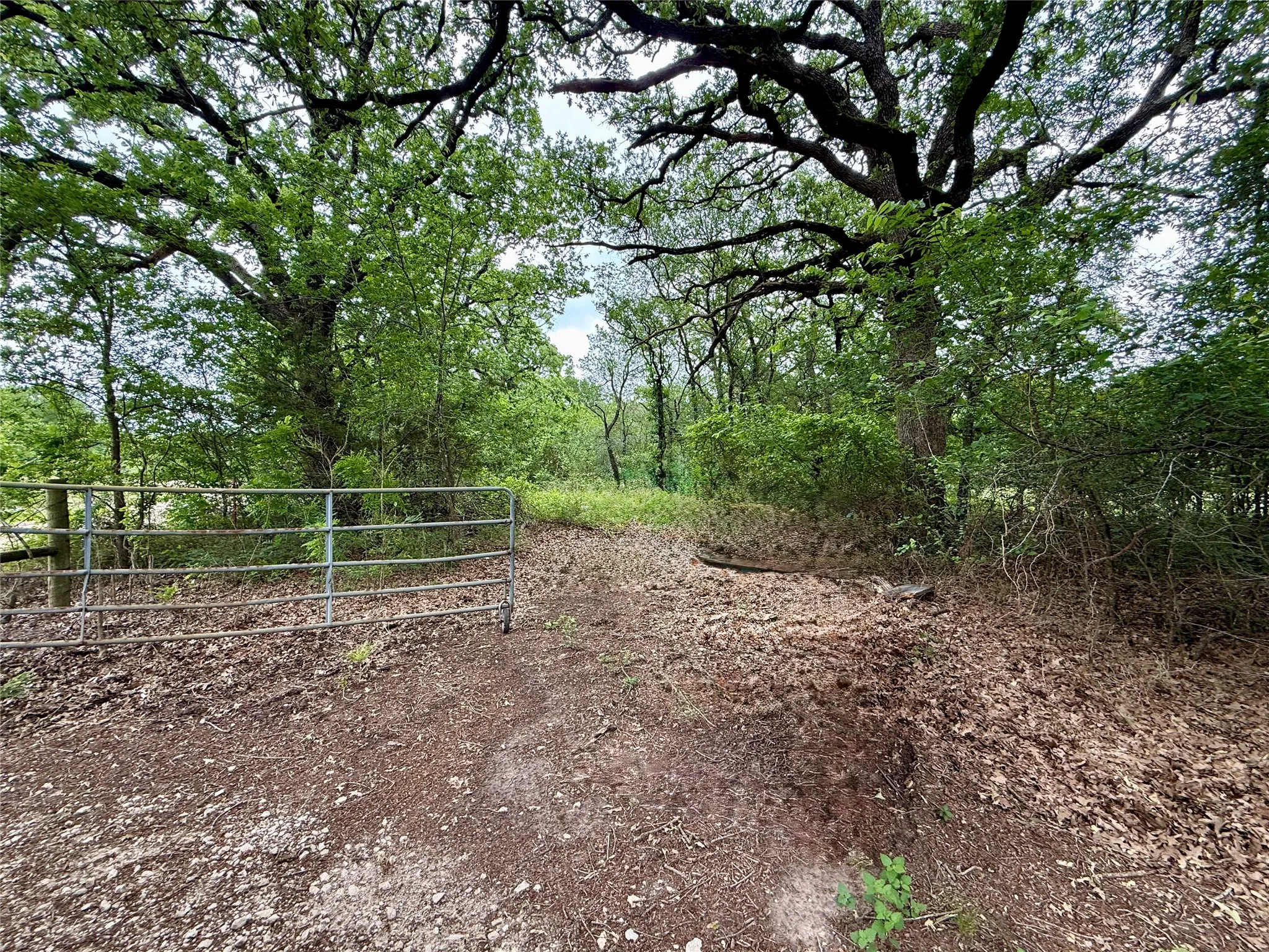 Unimproved Land For Sale in Navarro County , TBD 125 Acres FM 642, Purdon, Texas 76679, 0, 0, Garage spaces, 0 Sqft, built in 0, mls#21257290, Real Estate Agent in Purdon, Homes For Sale in Navarro county, Homes For Sale in Purdon, Realtor in Purdon Texas, Real Estate Brokerage Independent Realty Texas, Luminita Cordes Realtor