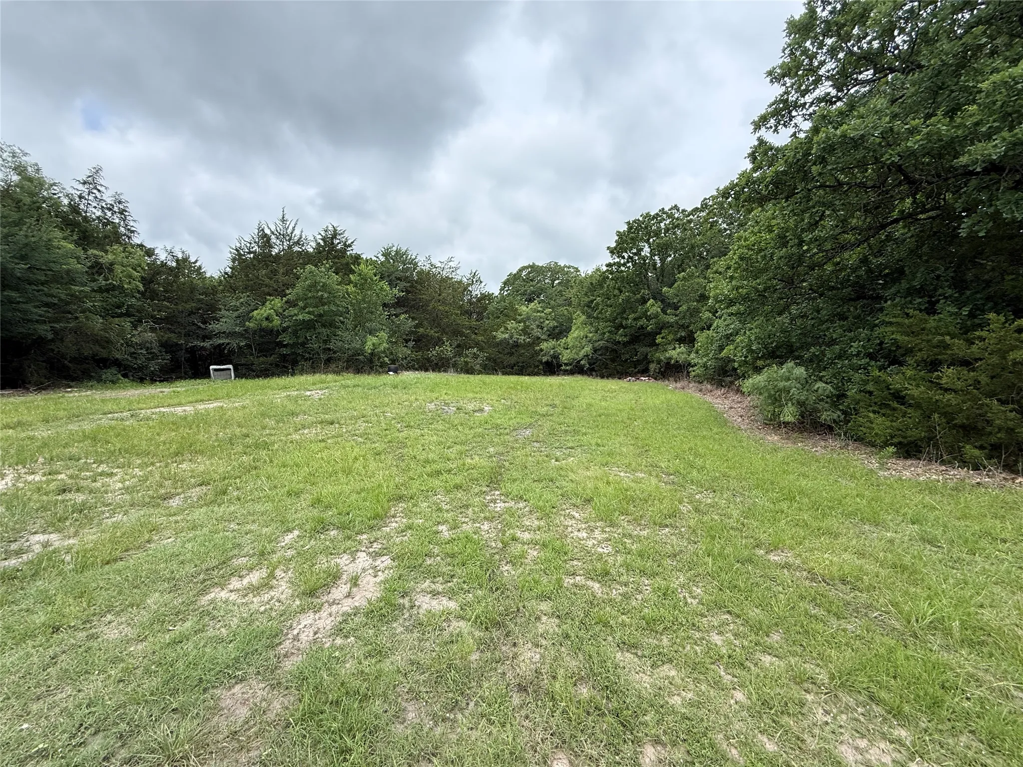 Unimproved Land For Sale in Navarro County , TBD 125 Acres FM 642, Purdon, Texas 76679, 0, 0, Garage spaces, 0 Sqft, built in 0, mls#21257290, Real Estate Agent in Purdon, Homes For Sale in Navarro county, Homes For Sale in Purdon, Realtor in Purdon Texas, Real Estate Brokerage Independent Realty Texas, Luminita Cordes Realtor