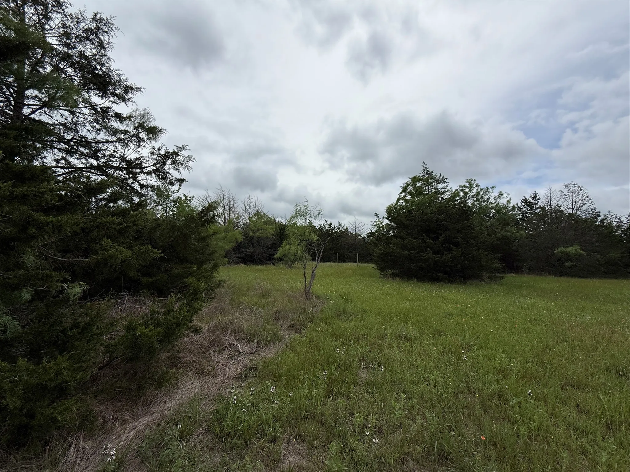 Unimproved Land For Sale in Navarro County , TBD 125 Acres FM 642, Purdon, Texas 76679, 0, 0, Garage spaces, 0 Sqft, built in 0, mls#21257290, Real Estate Agent in Purdon, Homes For Sale in Navarro county, Homes For Sale in Purdon, Realtor in Purdon Texas, Real Estate Brokerage Independent Realty Texas, Luminita Cordes Realtor