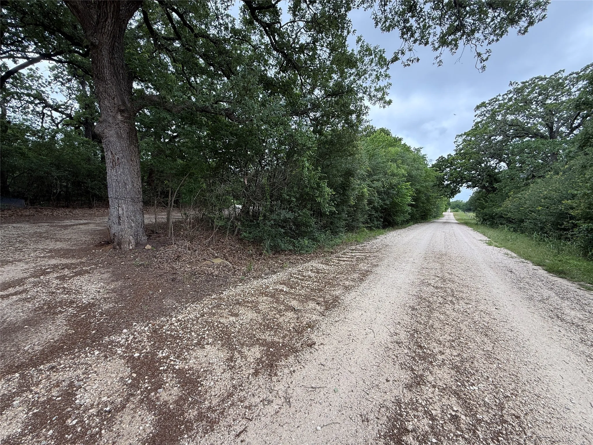 Unimproved Land For Sale in Navarro County , TBD 125 Acres FM 642, Purdon, Texas 76679, 0, 0, Garage spaces, 0 Sqft, built in 0, mls#21257290, Real Estate Agent in Purdon, Homes For Sale in Navarro county, Homes For Sale in Purdon, Realtor in Purdon Texas, Real Estate Brokerage Independent Realty Texas, Luminita Cordes Realtor