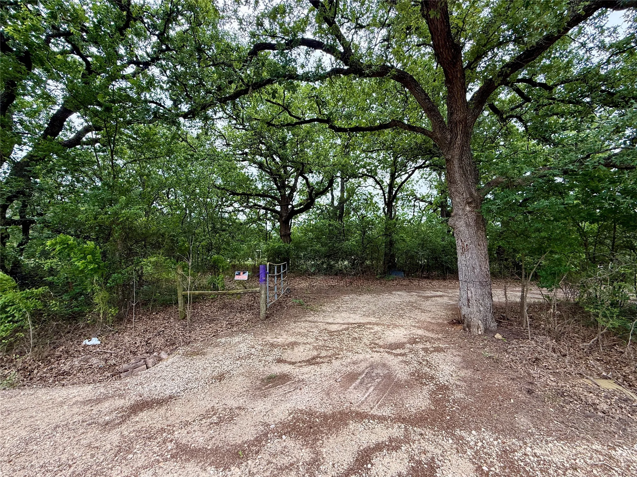 Unimproved Land For Sale in Navarro County , TBD 125 Acres FM 642, Purdon, Texas 76679, 0, 0, Garage spaces, 0 Sqft, built in 0, mls#21257290, Real Estate Agent in Purdon, Homes For Sale in Navarro county, Homes For Sale in Purdon, Realtor in Purdon Texas, Real Estate Brokerage Independent Realty Texas, Luminita Cordes Realtor