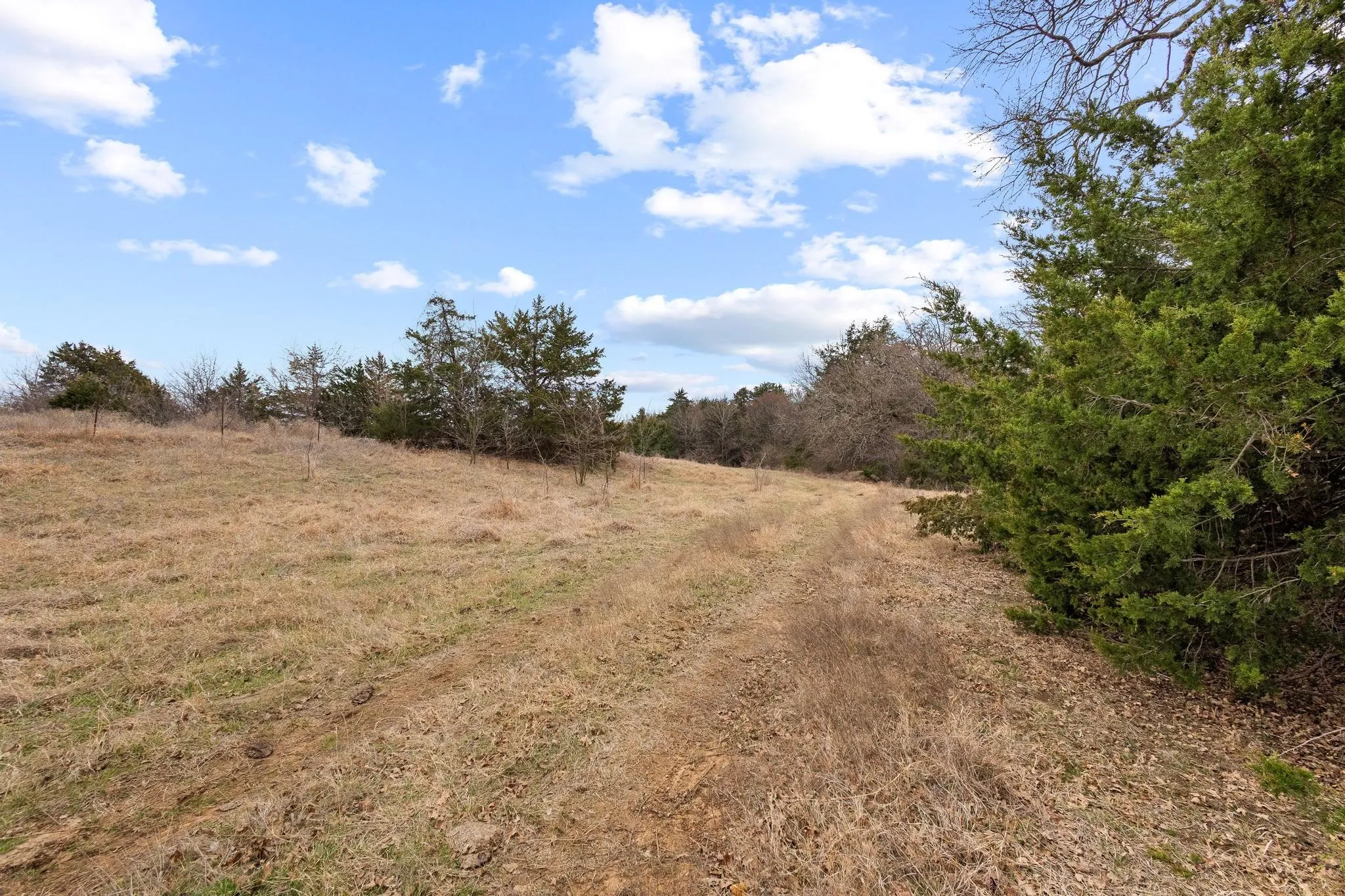 Unimproved Land For Sale in Grayson County , TBD Tract Two Cooks Corner Road, Pottsboro, Texas 75076, 0, 0, Garage spaces, 0 Sqft, built in 0, Price $600,000, mls#21261204, Real Estate Agent in Pottsboro, Homes For Sale in Grayson county, Homes For Sale in Pottsboro, Realtor in Pottsboro Texas, Real Estate Brokerage Independent Realty Texas, Luminita Cordes Realtor