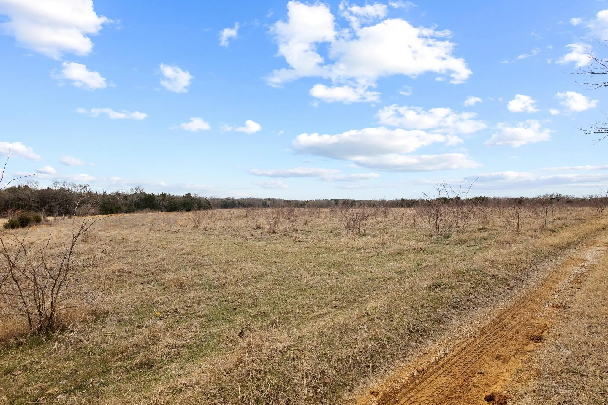 Unimproved Land For Sale in Grayson County , TBD Tract Two Cooks Corner Road, Pottsboro, Texas 75076, 0, 0, Garage spaces, 0 Sqft, built in 0, Price $600,000, mls#21261204, Real Estate Agent in Pottsboro, Homes For Sale in Grayson county, Homes For Sale in Pottsboro, Realtor in Pottsboro Texas, Real Estate Brokerage Independent Realty Texas, Luminita Cordes Realtor