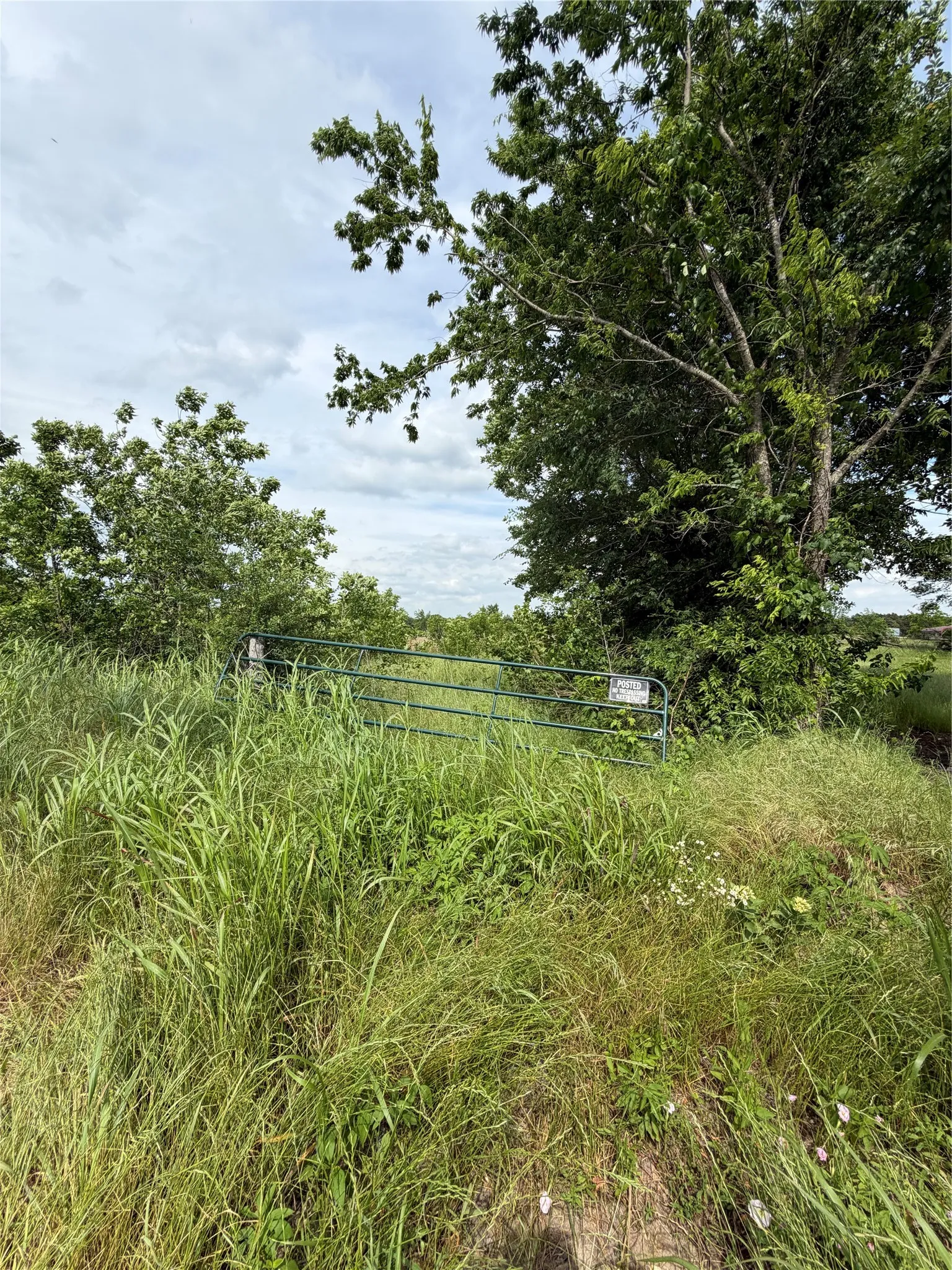 Unimproved Land For Sale in Fannin County , 9774 N State Highway 78, Ravenna, Texas 75476, 0, 0, Garage spaces, 0 Sqft, built in 0, mls#21261258, Real Estate Agent in Ravenna, Homes For Sale in Fannin county, Homes For Sale in Ravenna, Realtor in Ravenna Texas, Real Estate Brokerage Independent Realty Texas, Luminita Cordes Realtor