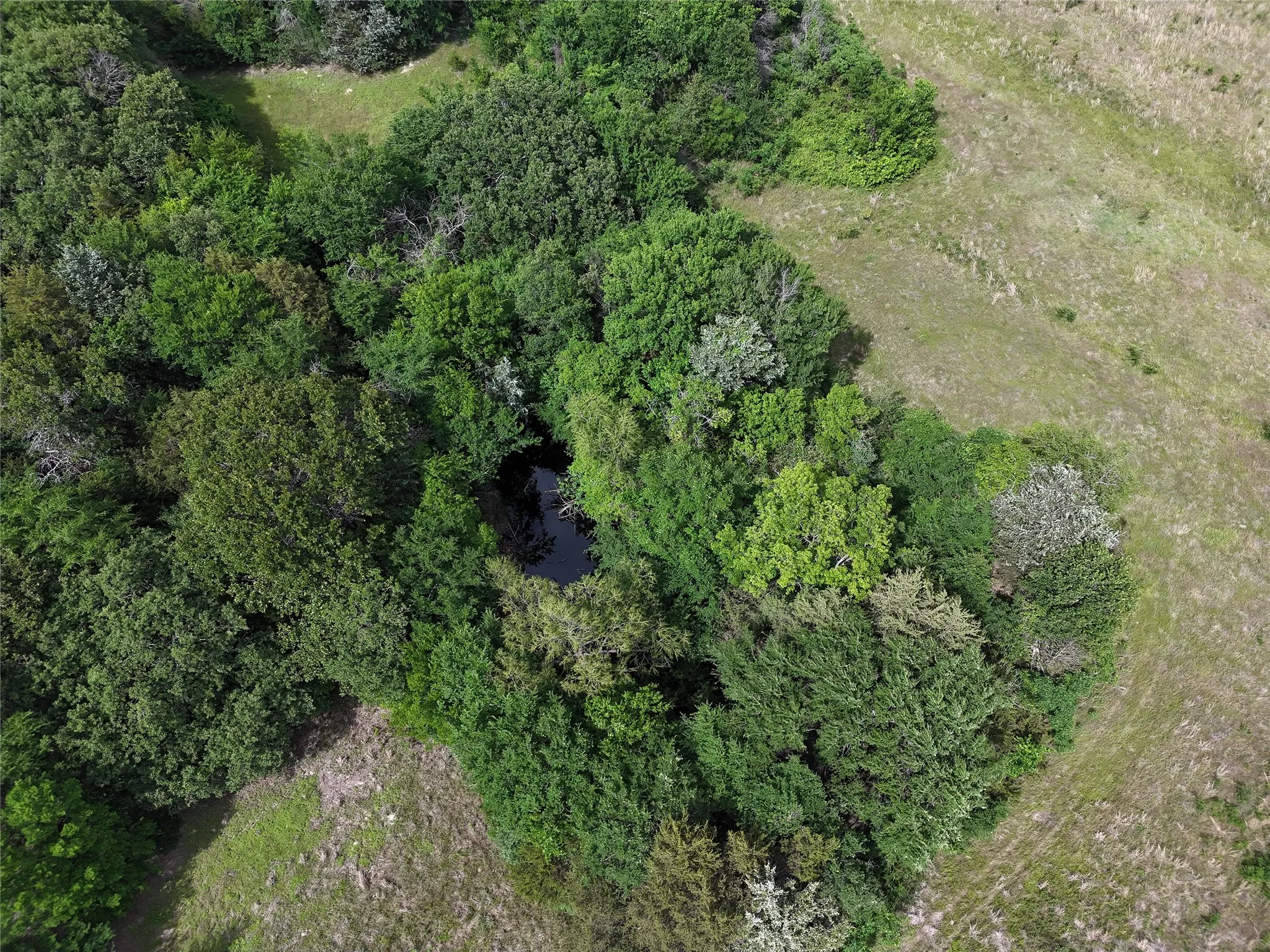 Unimproved Land For Sale in Fannin County , 9774 N State Highway 78, Ravenna, Texas 75476, 0, 0, Garage spaces, 0 Sqft, built in 0, mls#21261258, Real Estate Agent in Ravenna, Homes For Sale in Fannin county, Homes For Sale in Ravenna, Realtor in Ravenna Texas, Real Estate Brokerage Independent Realty Texas, Luminita Cordes Realtor