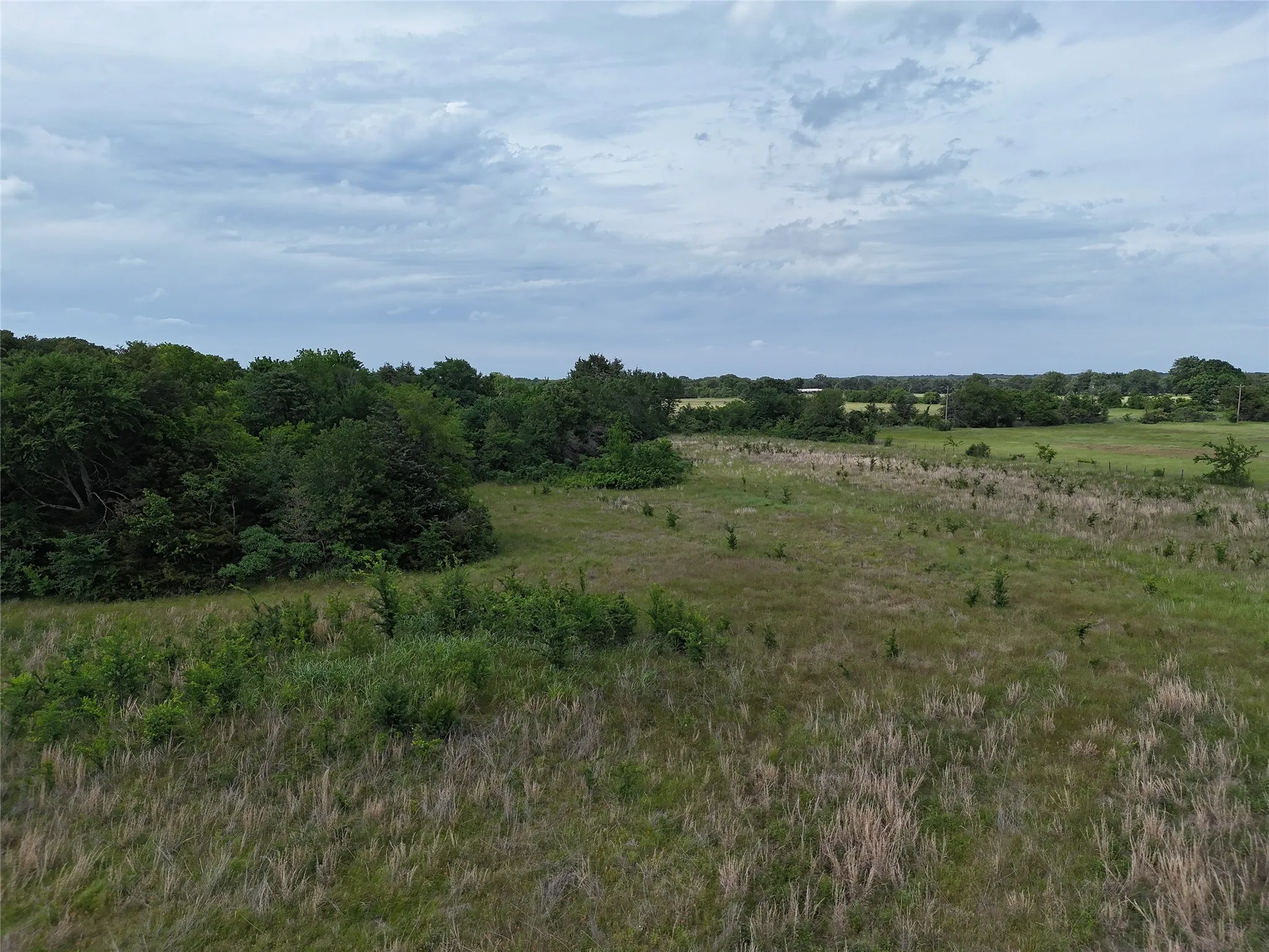 Unimproved Land For Sale in Fannin County , 9774 N State Highway 78, Ravenna, Texas 75476, 0, 0, Garage spaces, 0 Sqft, built in 0, mls#21261258, Real Estate Agent in Ravenna, Homes For Sale in Fannin county, Homes For Sale in Ravenna, Realtor in Ravenna Texas, Real Estate Brokerage Independent Realty Texas, Luminita Cordes Realtor
