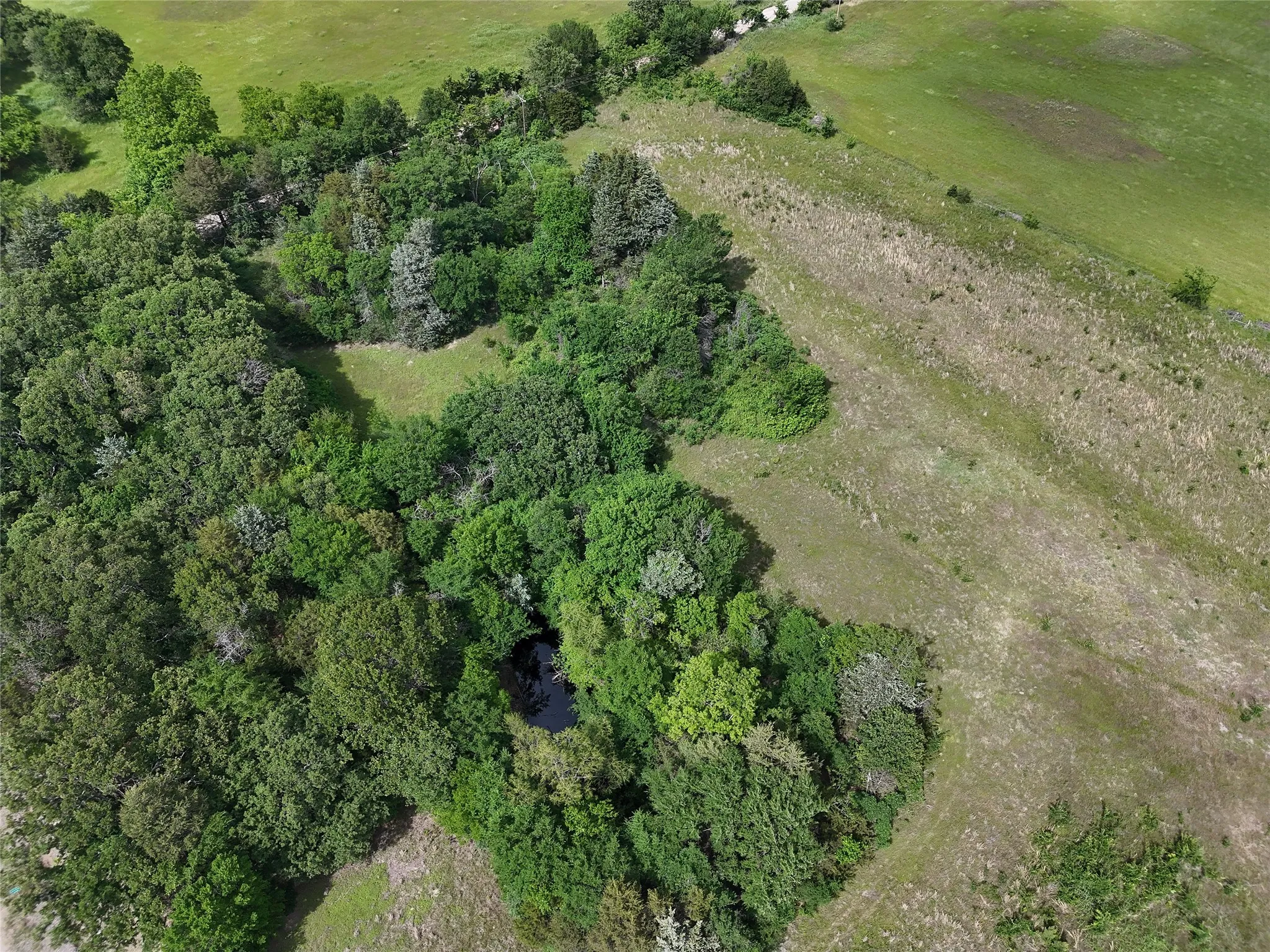 Unimproved Land For Sale in Fannin County , 9774 N State Highway 78, Ravenna, Texas 75476, 0, 0, Garage spaces, 0 Sqft, built in 0, mls#21261258, Real Estate Agent in Ravenna, Homes For Sale in Fannin county, Homes For Sale in Ravenna, Realtor in Ravenna Texas, Real Estate Brokerage Independent Realty Texas, Luminita Cordes Realtor