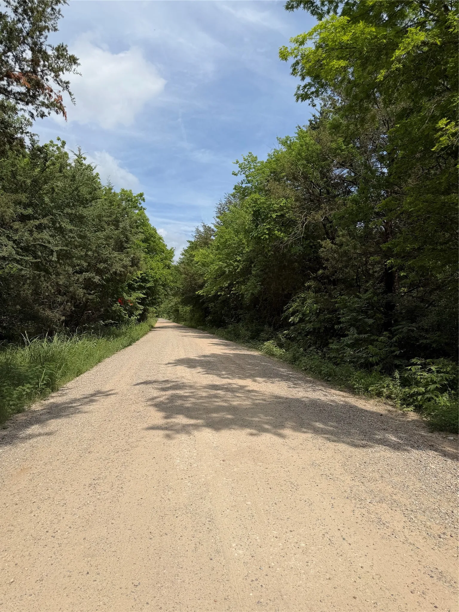 Unimproved Land For Sale in Fannin County , 9774 N State Highway 78, Ravenna, Texas 75476, 0, 0, Garage spaces, 0 Sqft, built in 0, mls#21261258, Real Estate Agent in Ravenna, Homes For Sale in Fannin county, Homes For Sale in Ravenna, Realtor in Ravenna Texas, Real Estate Brokerage Independent Realty Texas, Luminita Cordes Realtor