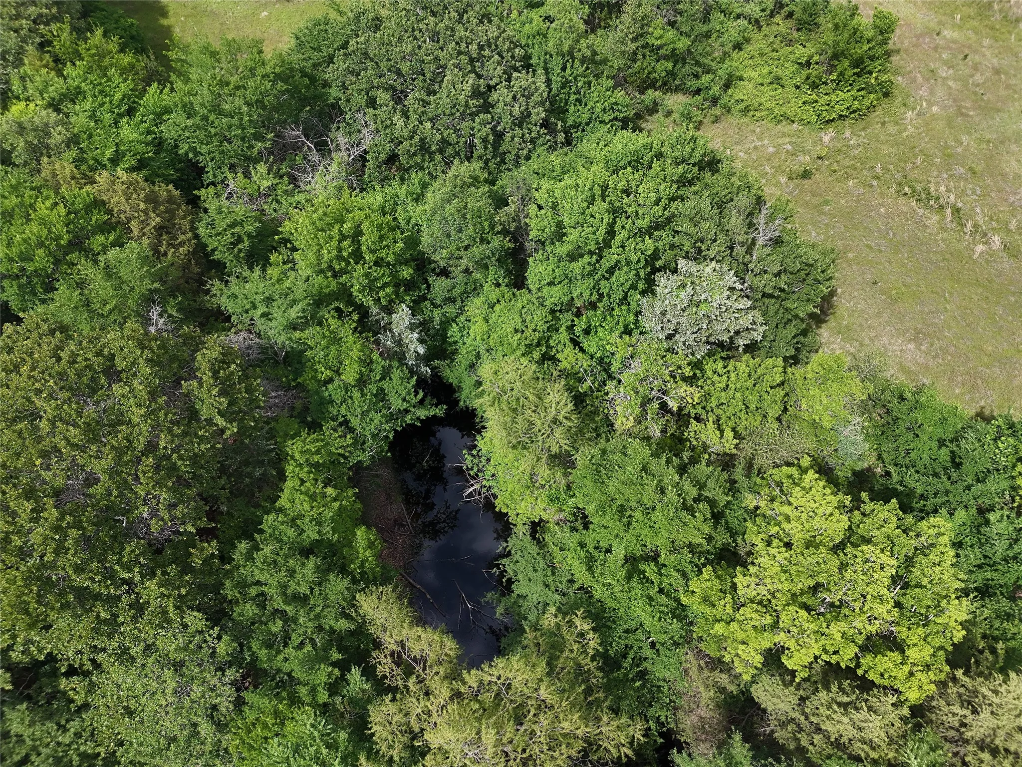 Unimproved Land For Sale in Fannin County , 9774 N State Highway 78, Ravenna, Texas 75476, 0, 0, Garage spaces, 0 Sqft, built in 0, mls#21261258, Real Estate Agent in Ravenna, Homes For Sale in Fannin county, Homes For Sale in Ravenna, Realtor in Ravenna Texas, Real Estate Brokerage Independent Realty Texas, Luminita Cordes Realtor