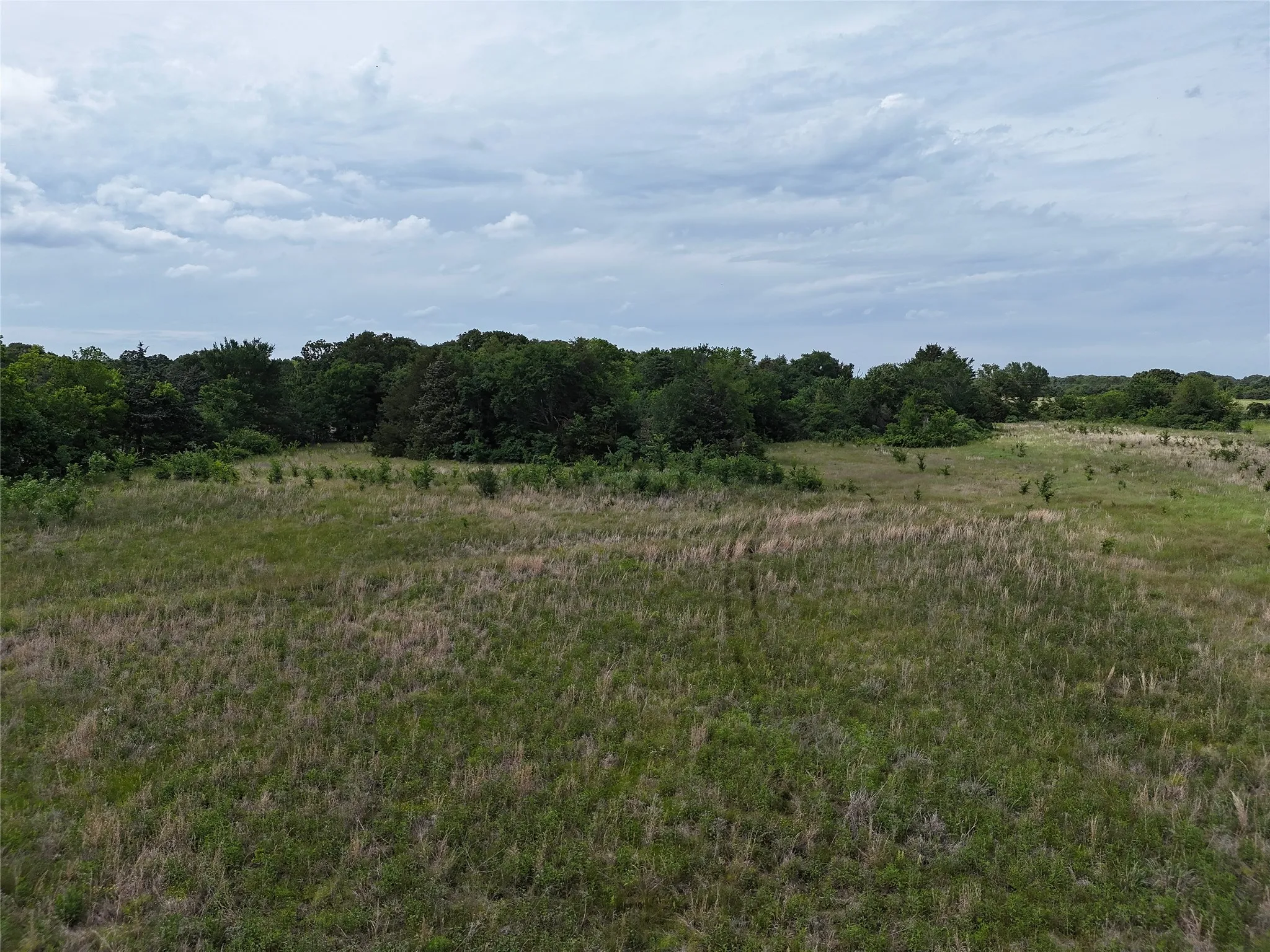 Unimproved Land For Sale in Fannin County , 9774 N State Highway 78, Ravenna, Texas 75476, 0, 0, Garage spaces, 0 Sqft, built in 0, mls#21261258, Real Estate Agent in Ravenna, Homes For Sale in Fannin county, Homes For Sale in Ravenna, Realtor in Ravenna Texas, Real Estate Brokerage Independent Realty Texas, Luminita Cordes Realtor