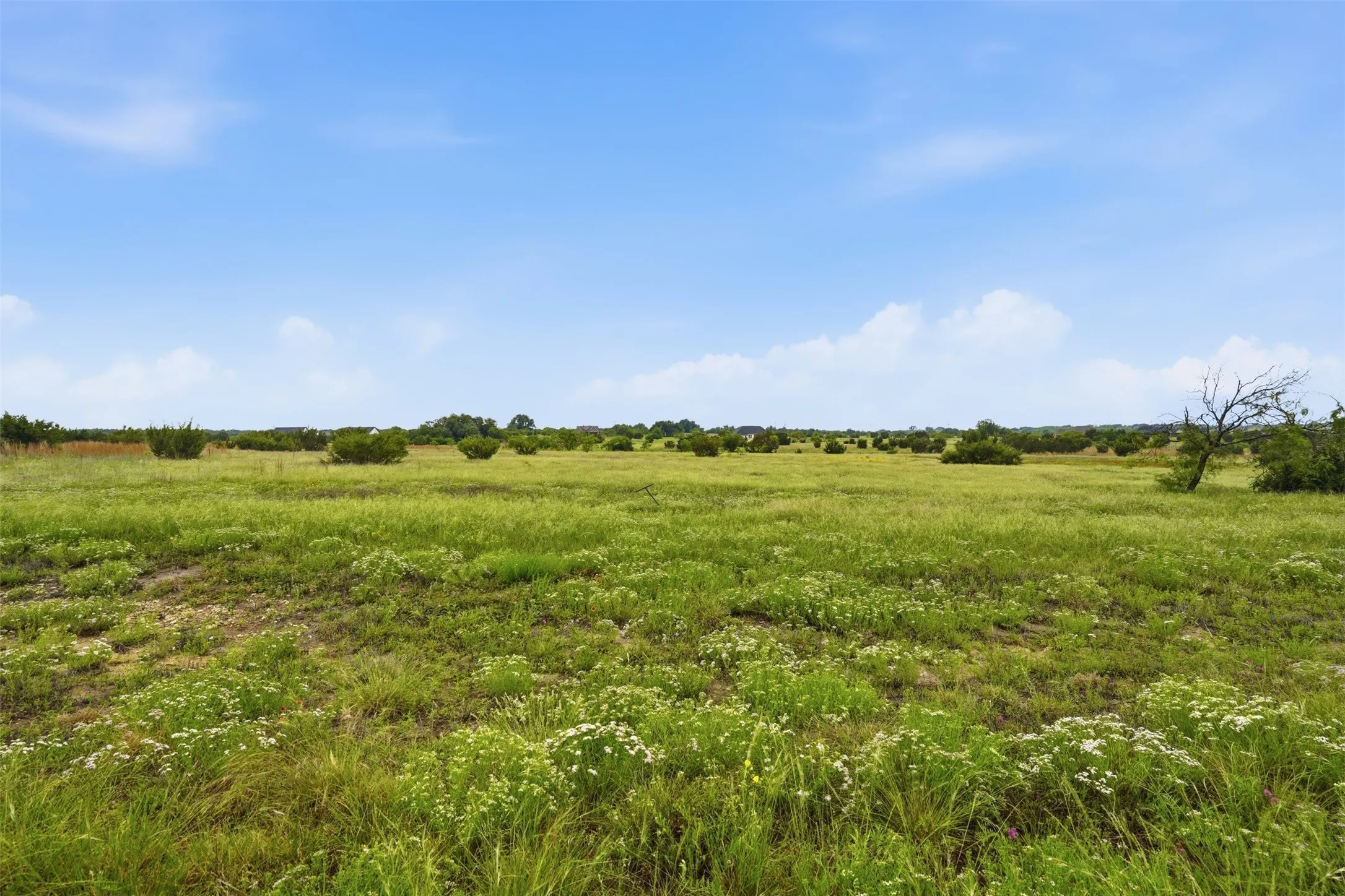 Unimproved Land For Sale in Hood County , 502 Hollow Drive, Lipan, Texas 76048, 0, 0, Garage spaces, 0 Sqft, built in 0, Price $71,000, mls#21259668, Real Estate Agent in Lipan, Homes For Sale in Hood county, Homes For Sale in Lipan, Realtor in Lipan Texas, Real Estate Brokerage Independent Realty Texas, Luminita Cordes Realtor