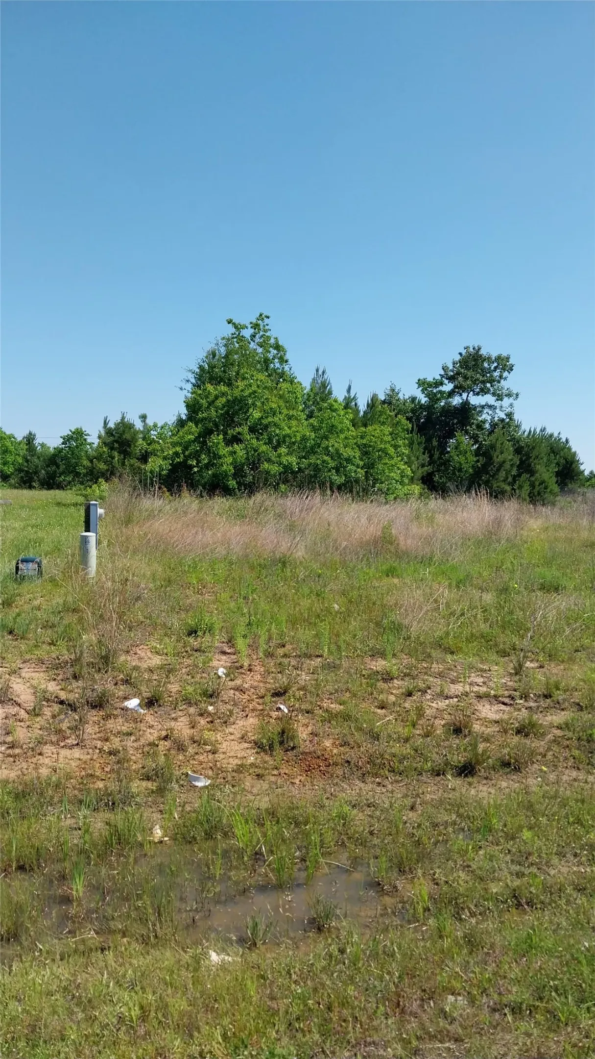 Unimproved Land For Sale in Liberty County , 1707 Road 5729, Cleveland, Texas 77327, 0, 0, Garage spaces, 0 Sqft, built in 0, Price $36,000, mls#21259790, Real Estate Agent in Cleveland, Homes For Sale in Liberty county, Homes For Sale in Cleveland, Realtor in Cleveland Texas, Real Estate Brokerage Independent Realty Texas, Luminita Cordes Realtor