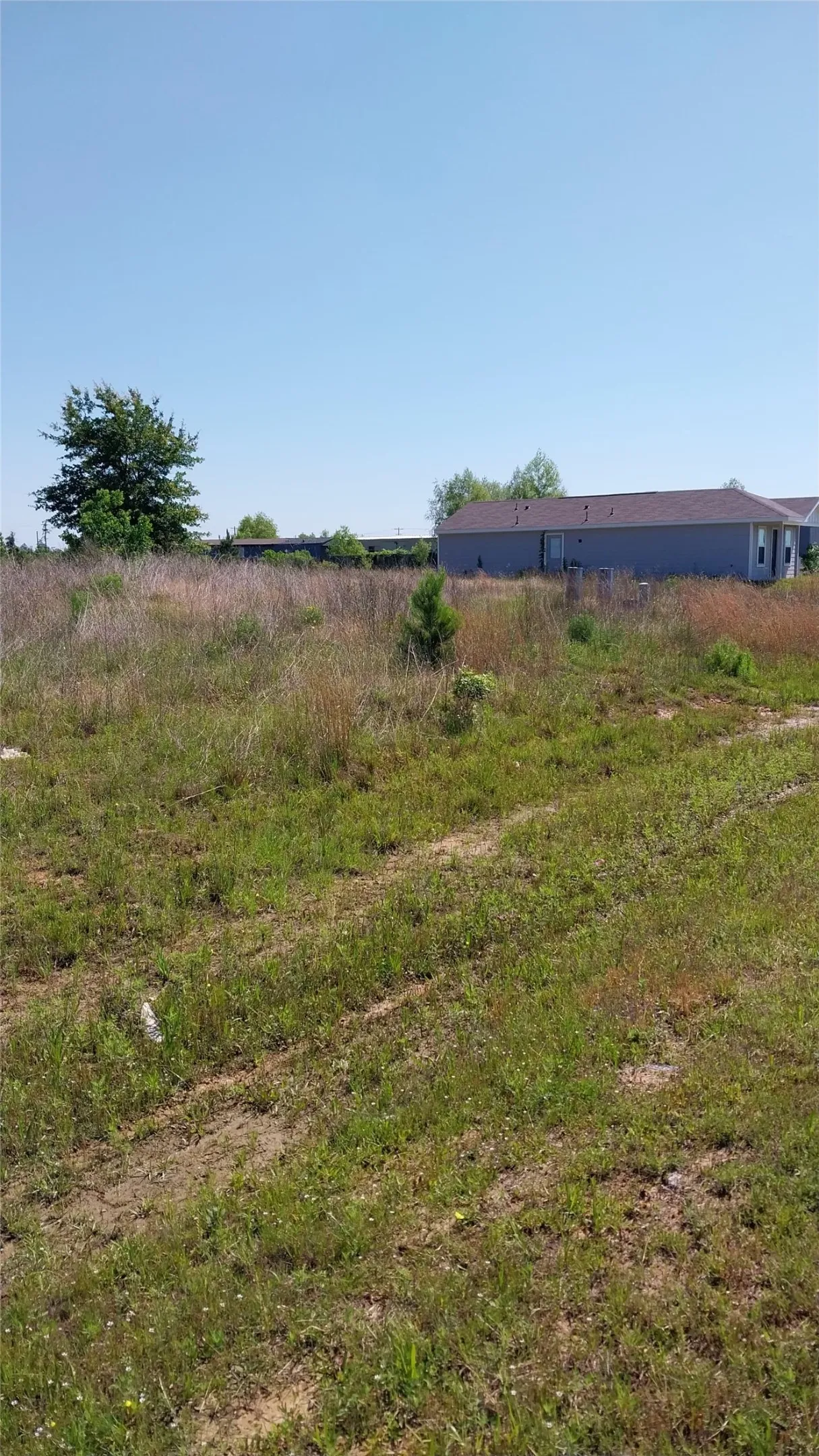 Unimproved Land For Sale in Liberty County , 1715 Road 5729, Cleveland, Texas 77327, 0, 0, Garage spaces, 0 Sqft, built in 0, Price $36,000, mls#21259787, Real Estate Agent in Cleveland, Homes For Sale in Liberty county, Homes For Sale in Cleveland, Realtor in Cleveland Texas, Real Estate Brokerage Independent Realty Texas, Luminita Cordes Realtor