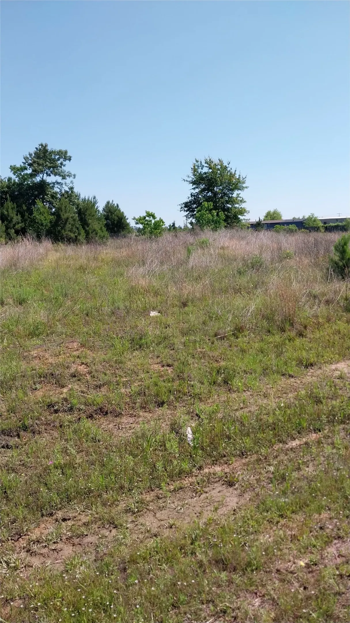 Unimproved Land For Sale in Liberty County , 1715 Road 5729, Cleveland, Texas 77327, 0, 0, Garage spaces, 0 Sqft, built in 0, Price $36,000, mls#21259787, Real Estate Agent in Cleveland, Homes For Sale in Liberty county, Homes For Sale in Cleveland, Realtor in Cleveland Texas, Real Estate Brokerage Independent Realty Texas, Luminita Cordes Realtor