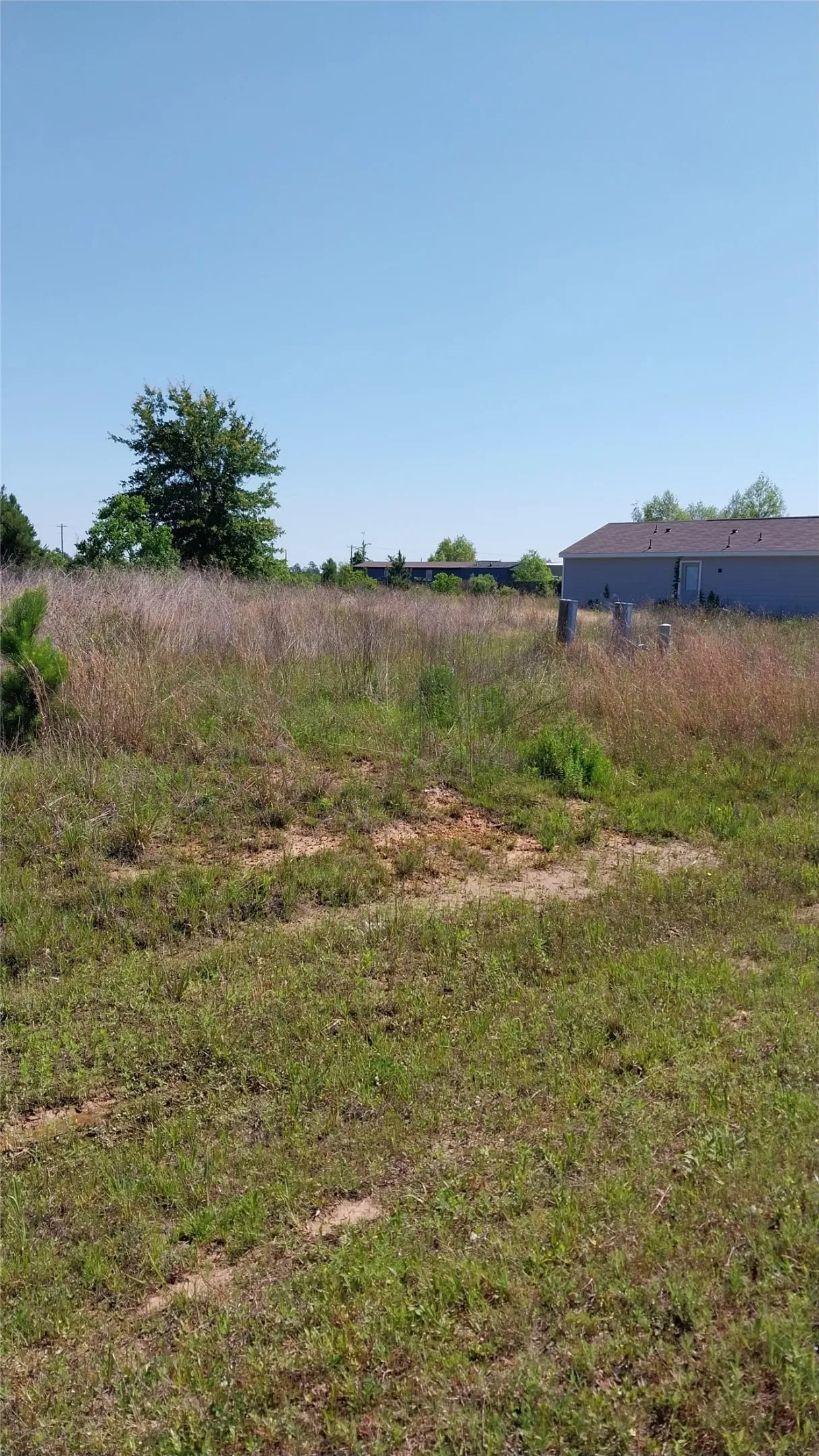 Unimproved Land For Sale in Liberty County , 1715 Road 5729, Cleveland, Texas 77327, 0, 0, Garage spaces, 0 Sqft, built in 0, Price $36,000, mls#21259787, Real Estate Agent in Cleveland, Homes For Sale in Liberty county, Homes For Sale in Cleveland, Realtor in Cleveland Texas, Real Estate Brokerage Independent Realty Texas, Luminita Cordes Realtor