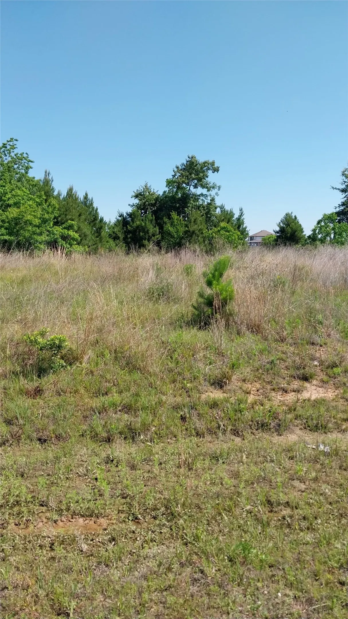 Unimproved Land For Sale in Liberty County , 1715 Road 5729, Cleveland, Texas 77327, 0, 0, Garage spaces, 0 Sqft, built in 0, Price $36,000, mls#21259787, Real Estate Agent in Cleveland, Homes For Sale in Liberty county, Homes For Sale in Cleveland, Realtor in Cleveland Texas, Real Estate Brokerage Independent Realty Texas, Luminita Cordes Realtor
