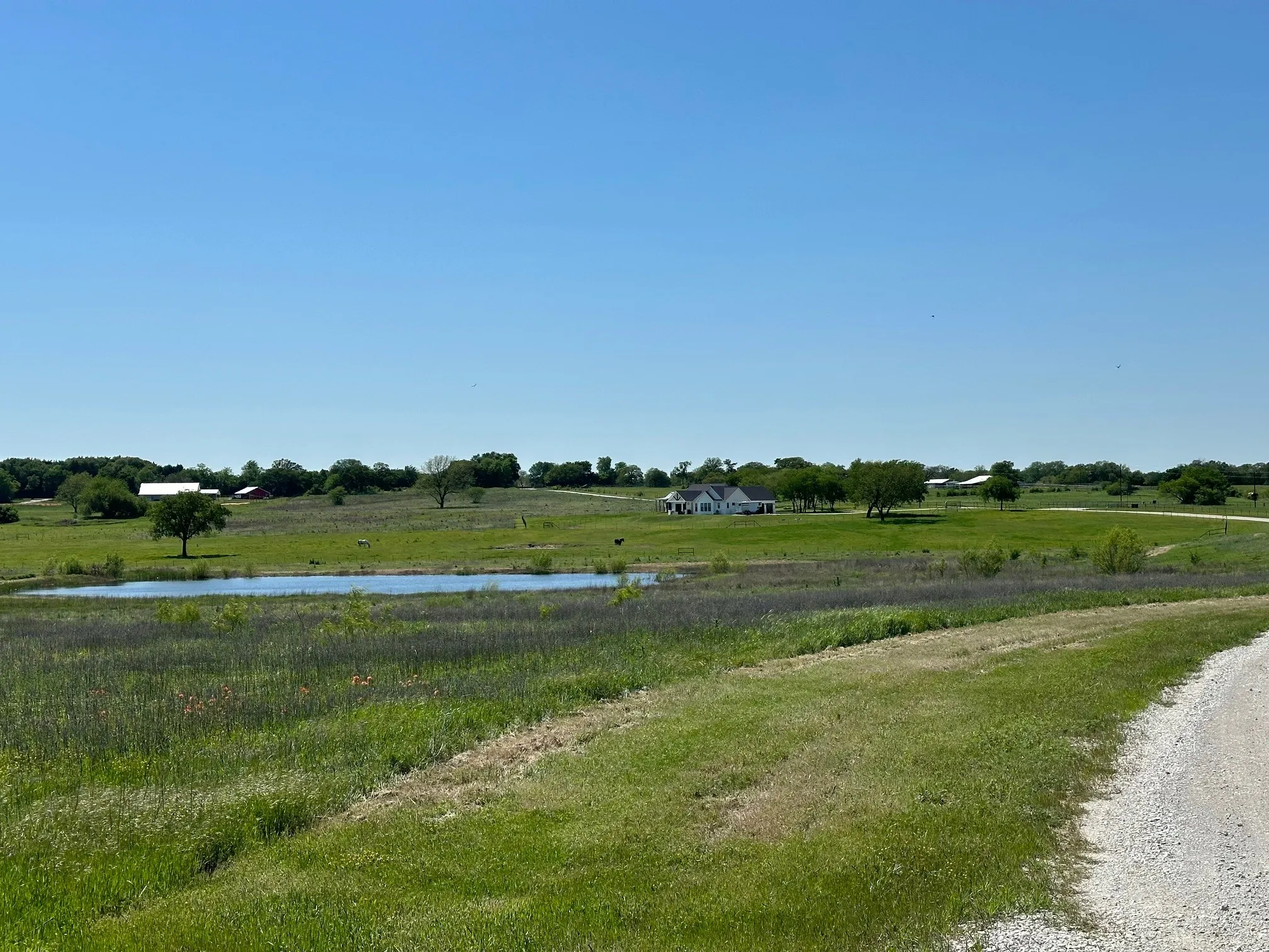 Unimproved Land For Sale in Cooke County , 524 Jrc Road, Gainesville, Texas 76240, 0, 0, Garage spaces, 0 Sqft, built in 0, mls#21261233, Real Estate Agent in Gainesville, Homes For Sale in Cooke county, Homes For Sale in Gainesville, Realtor in Gainesville Texas, Real Estate Brokerage Independent Realty Texas, Luminita Cordes Realtor