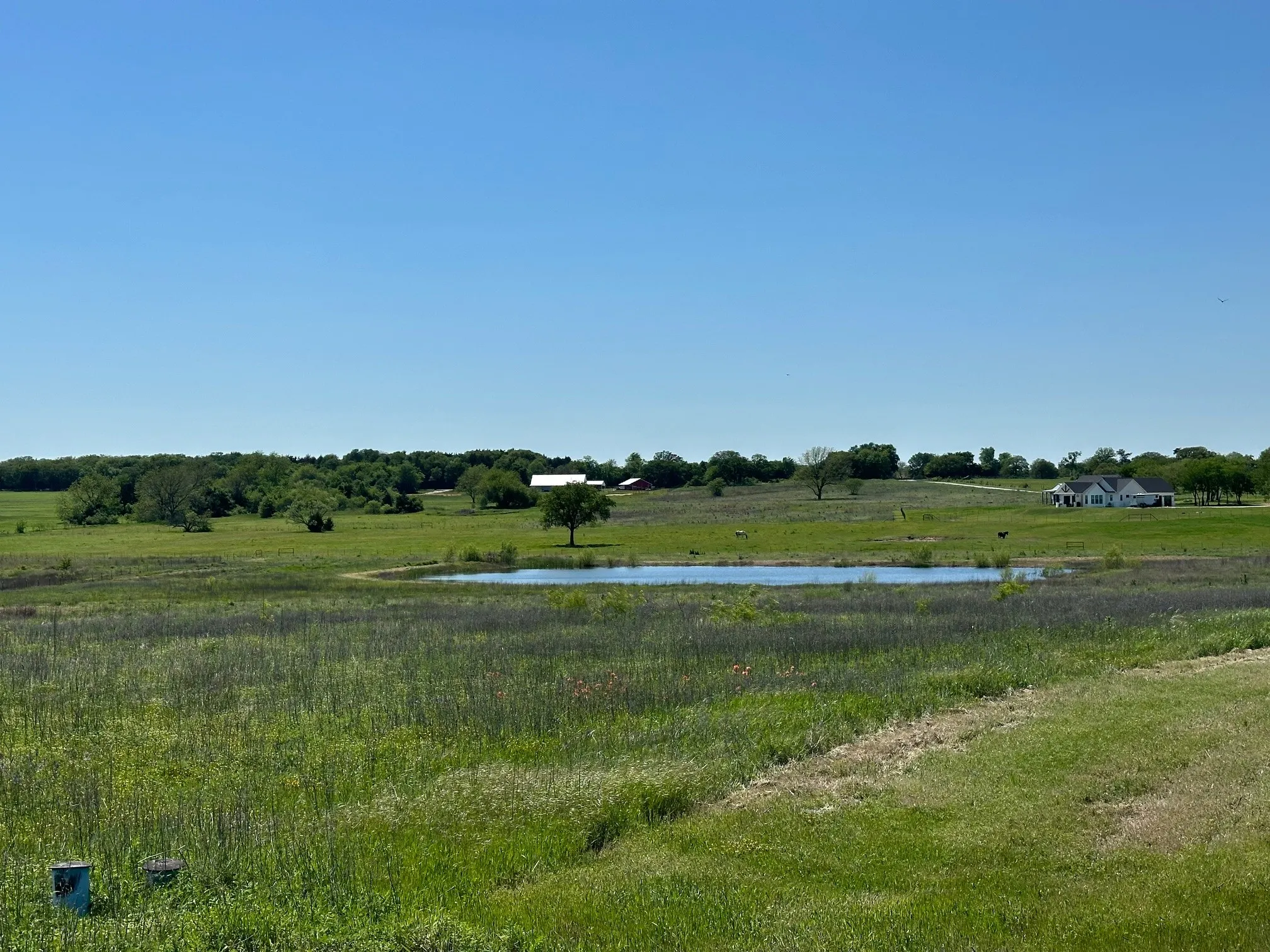 Unimproved Land For Sale in Cooke County , 524 Jrc Road, Gainesville, Texas 76240, 0, 0, Garage spaces, 0 Sqft, built in 0, mls#21261233, Real Estate Agent in Gainesville, Homes For Sale in Cooke county, Homes For Sale in Gainesville, Realtor in Gainesville Texas, Real Estate Brokerage Independent Realty Texas, Luminita Cordes Realtor