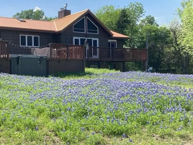When In Season. Bluebonnets Everywhere.