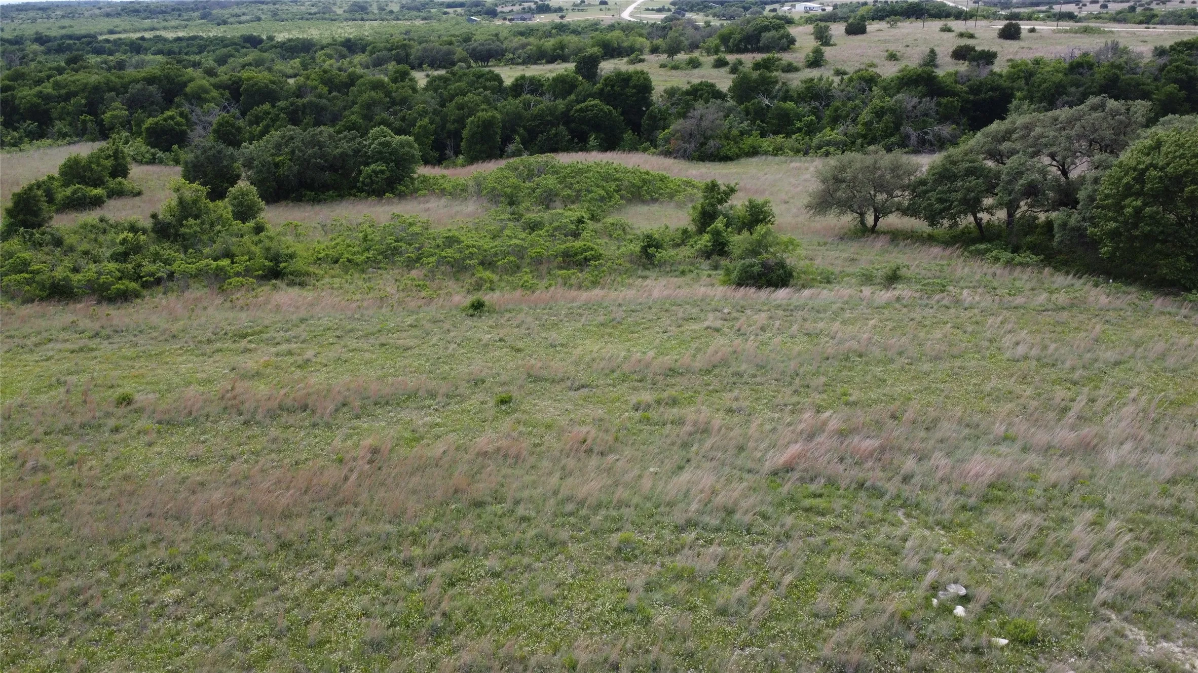 Front of property facing towards the back tree line