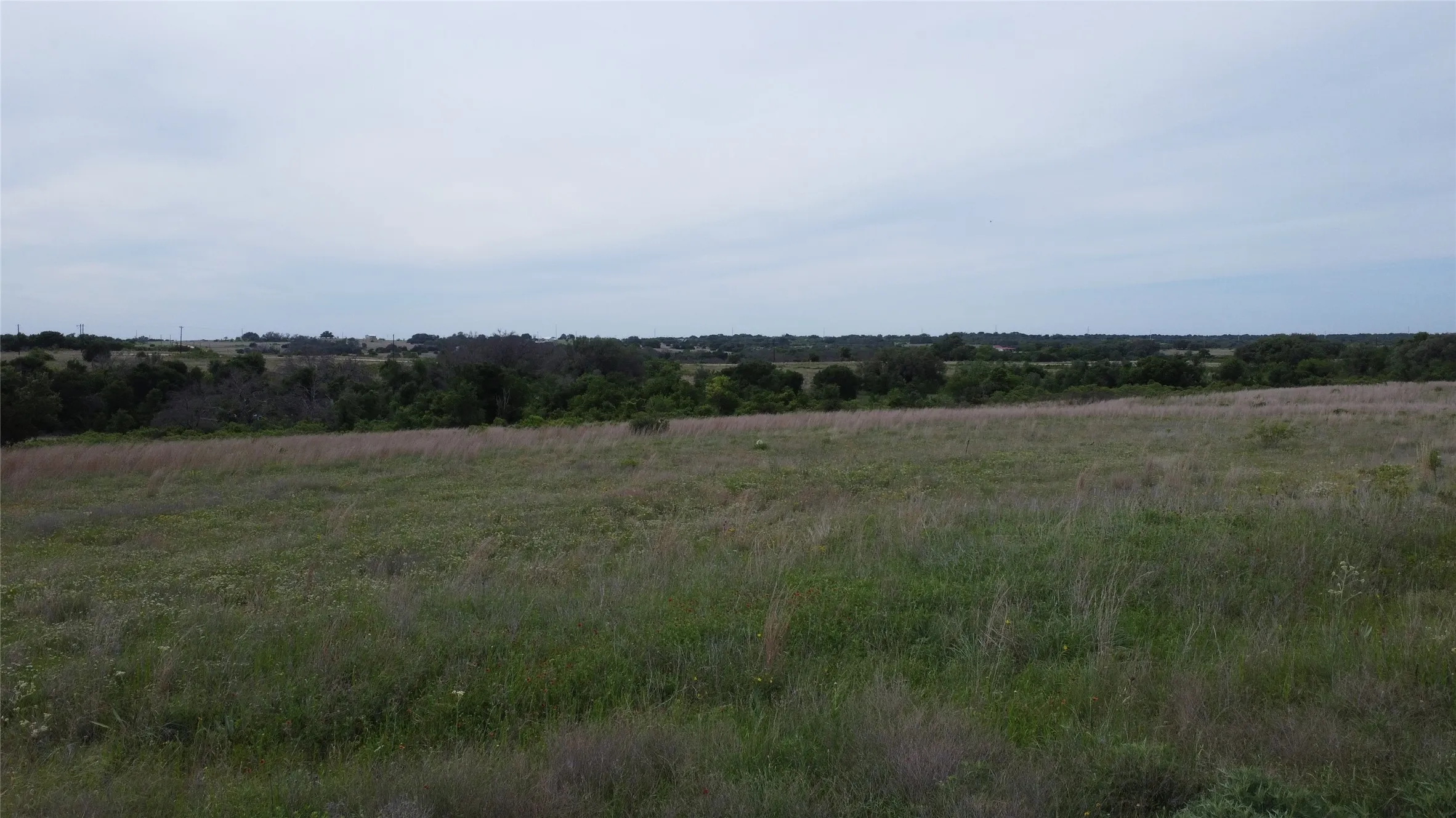 Open pasture in front