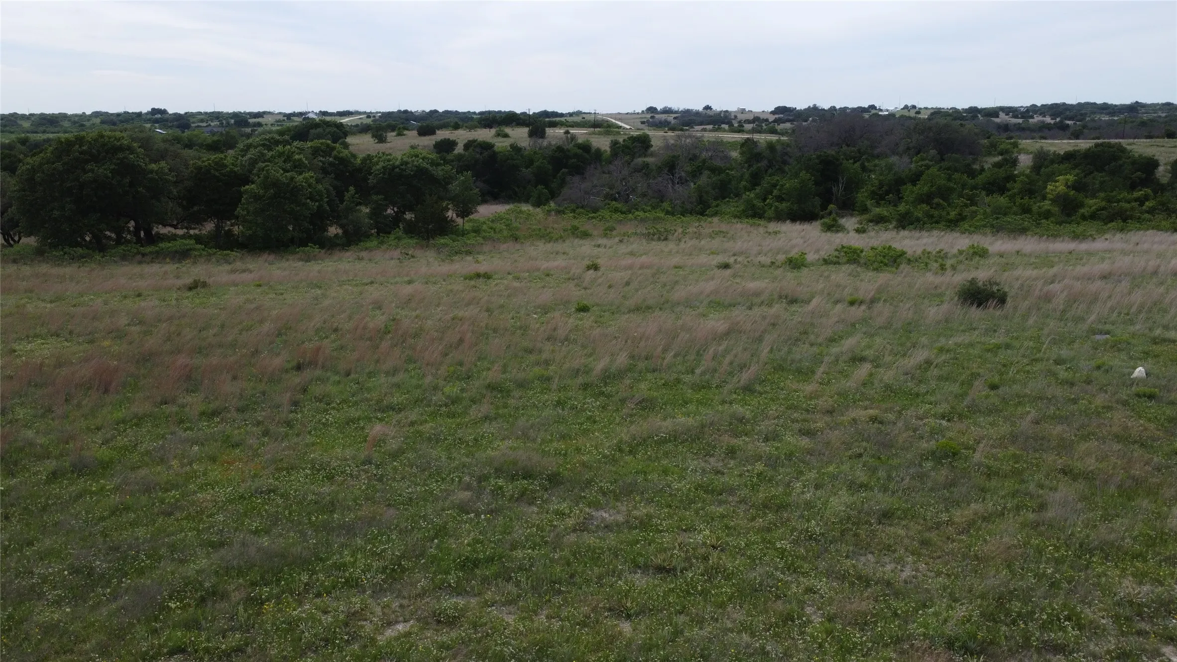 Open pasture